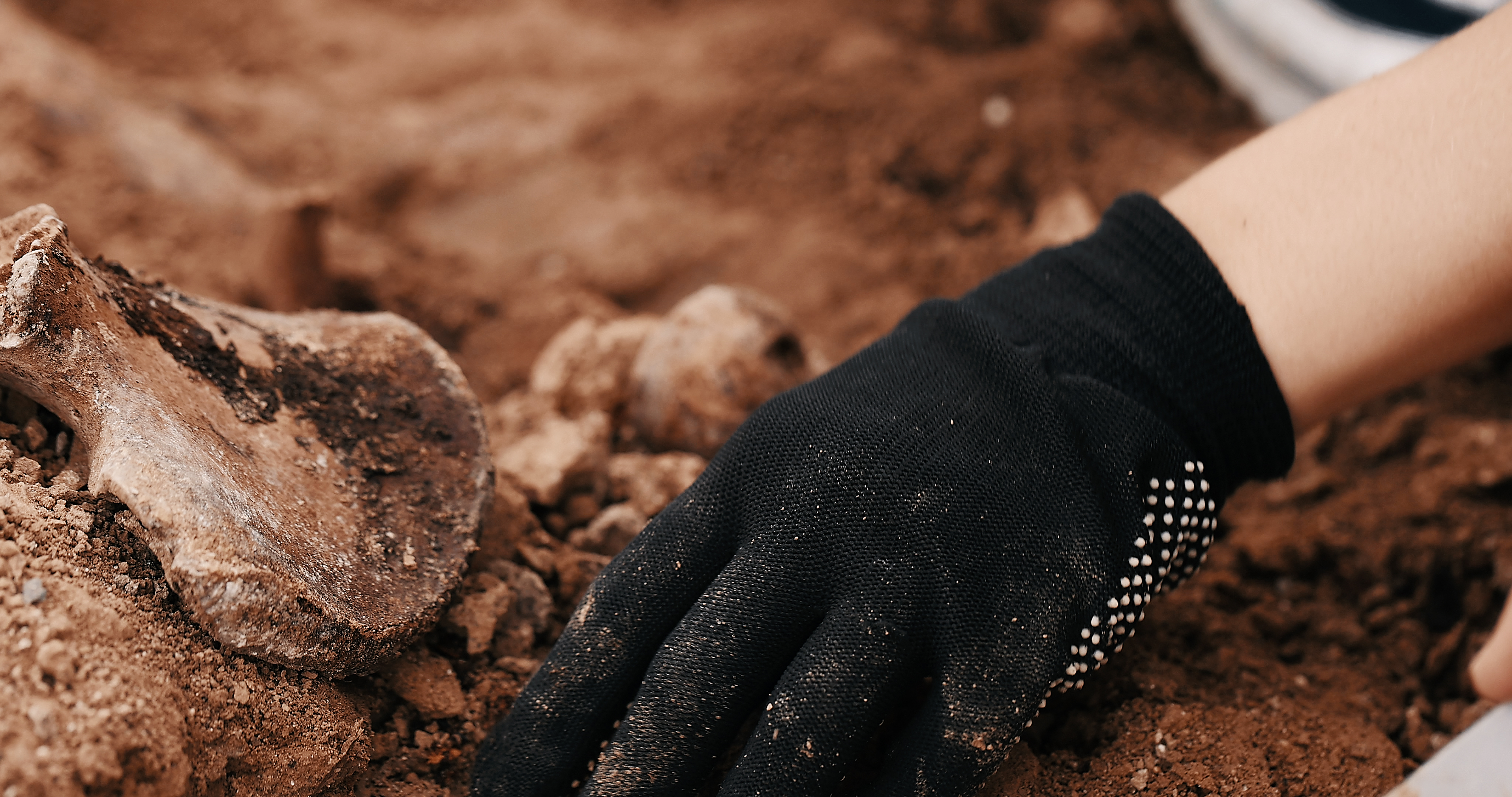 Emberi csontokat és koporsómaradványokat találtak a Óbudán