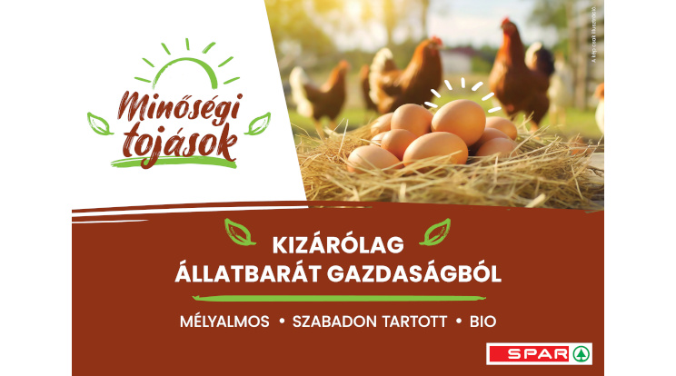 Nem mindegy, milyen tojást fogyaszt!