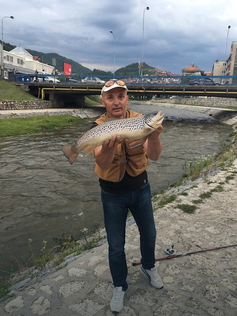 Ni najstariji Užičani ne pamte da je u njihovom gradu ulovljena ovolika pastrmka