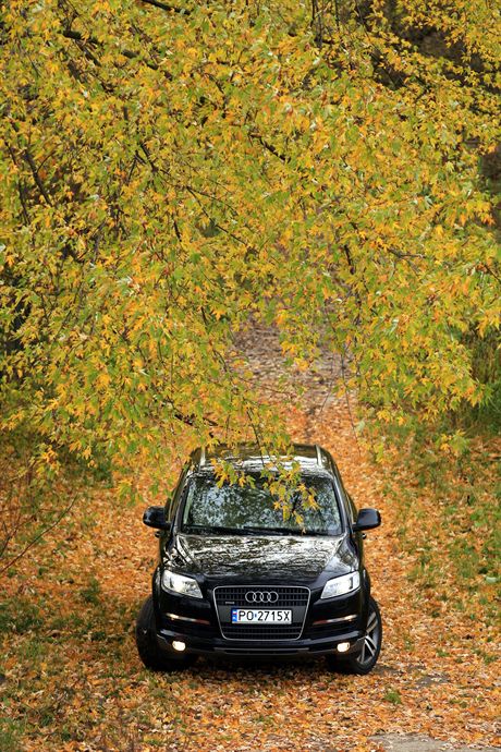 03.11.2006 WarszawaZdjecia do testu samochodu AUDI Q7 Quattro.Fot. Wojciech Grzedzinski