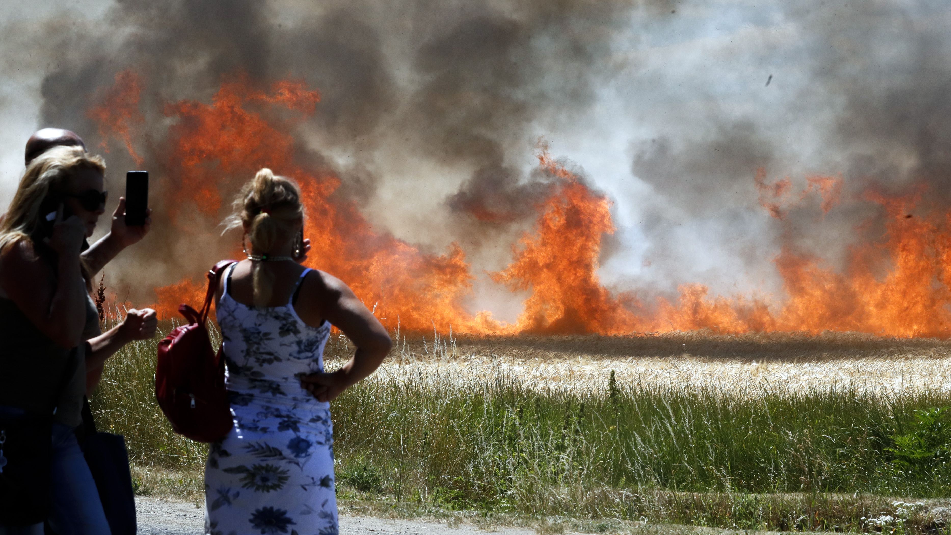 Tűz ütött ki Emőd határában, több száz hektár ég - fotók - Blikk