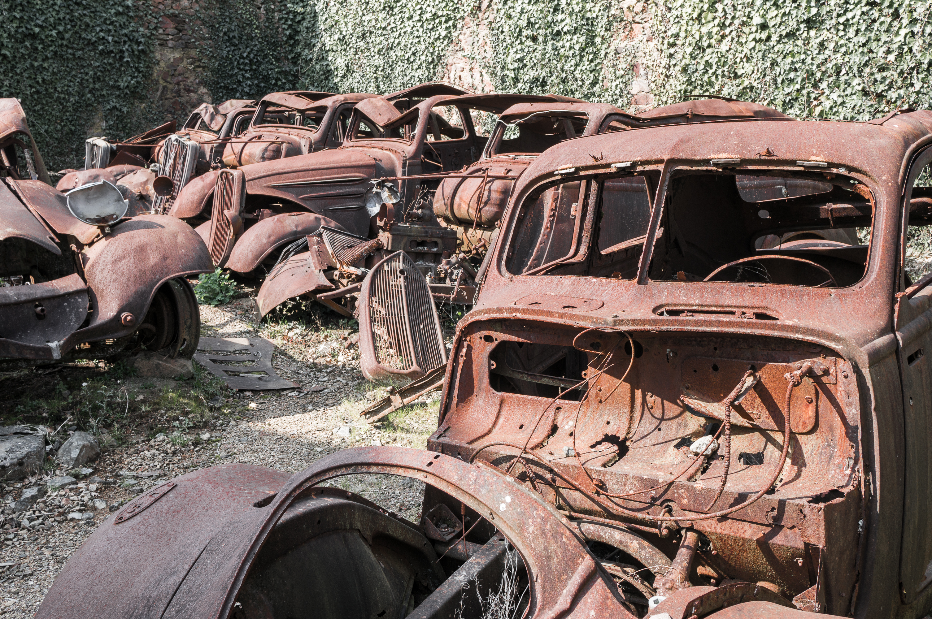 Tragedia rozegrała się <B>10 czerwca 1944 roku</B>. Oddziały SS w odwecie za zabicie przez francuski ruch oporu oficera SS weszły do miasteczka, wyganiając mieszkańców z domów i <B>rozstrzeliwując wszystkich bez wyjątku - mężczyzn, kobiety i dzieci</B>. <BR><BR> Tych, którzy nie zginęli od razu, Niemcy zapędzili do kościoła. Budynek <b>podpalili, wrzucali do środka granaty, strzelali do osób, które próbowały uciec</b>. Tego dnia wymordowali <b>642 mieszkańców miasteczka</b>. Przeżyła 47-letnia kobieta, której udało się wyskoczyć przez okienko w kościele i uciec, pięciu mężczyzn oraz jedno dziecko. <BR><BR> Jak się potem okazało, Niemcy wymierzyli tę okrutną karę mieszkańcom nie tego miasta, które planowali spacyfikować. W rzeczywistości oficer SS został zabity w <b>Oradour-sur-Vayres</b>. <BR><BR> Miasteczka nigdy nie odbudowano. Jego <b>ruiny zamieniono po wojnie w ogromne muzeum</b>. Wizyta w tym miejscu robi duże wrażenie. Na ulicach i podwórkach wciąż stoją <b>auta zabitych mieszkańców</B>, gdzieniegdzie pod ścianą domu widać oparty zardzewiały rower, można również zobaczyć część osobistych przedmiotów ofiar. <BR><BR> <b>Oradour-sur-Glane</B> to jedna z czterech miejscowości, jakie w czasie wojny spotkał taki los. W Polsce w podobny sposób Niemcy potraktowali wieś Sochy na Lubelszczyźnie. Jej tragedię opisała <b>Anna Janko w książce