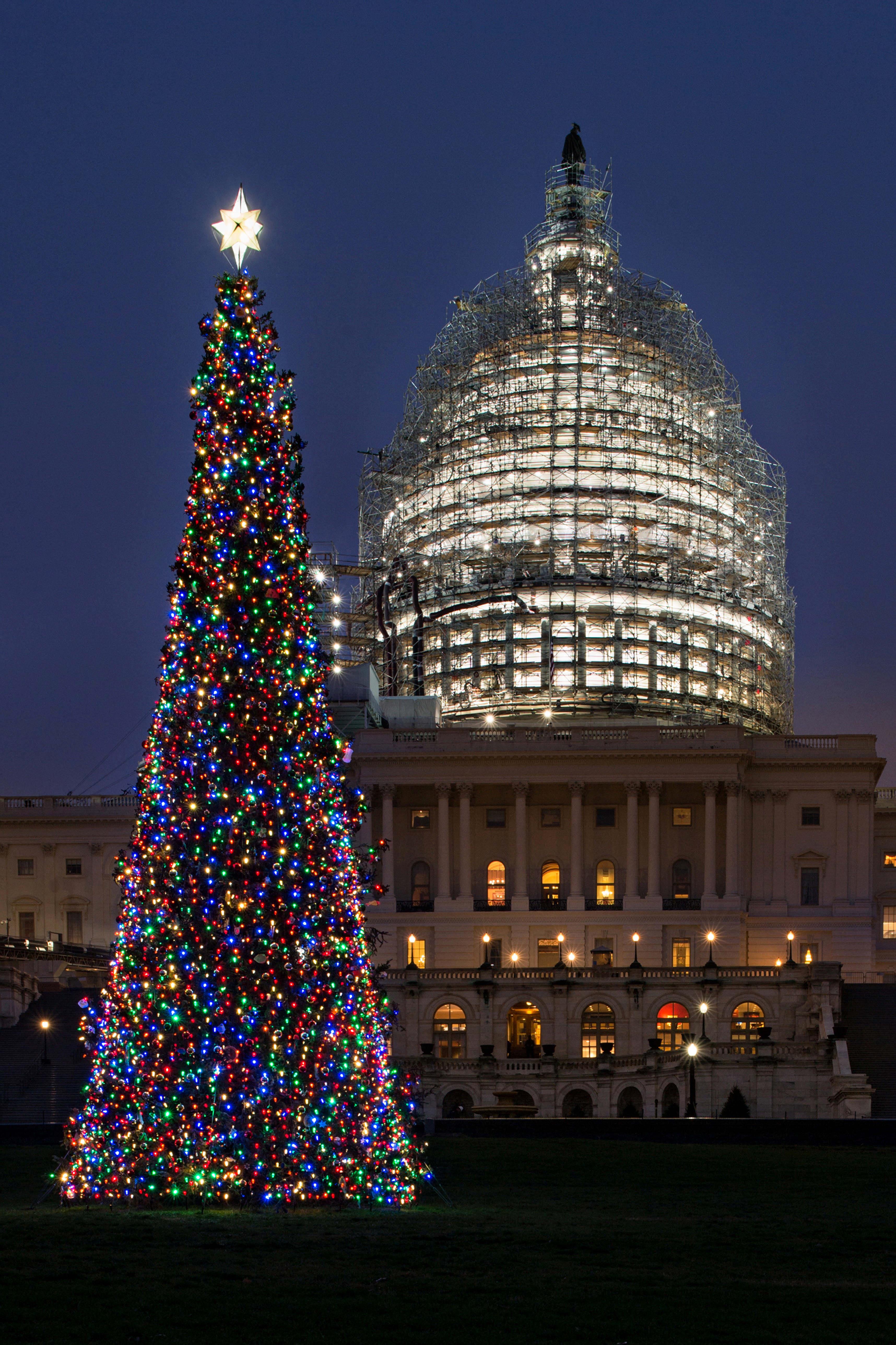 US Capitol Christmas Tree Lighting Ceremony