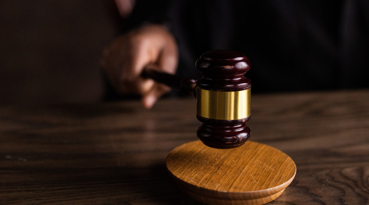 Kutyakaját ettek, testük széklettel és vizelettel volt tele - pokoli körülmények közt élt három gyerek egy Győr-Moson-Sopron vármegyei faluban: ilyen büntetés várhat az anyjukra