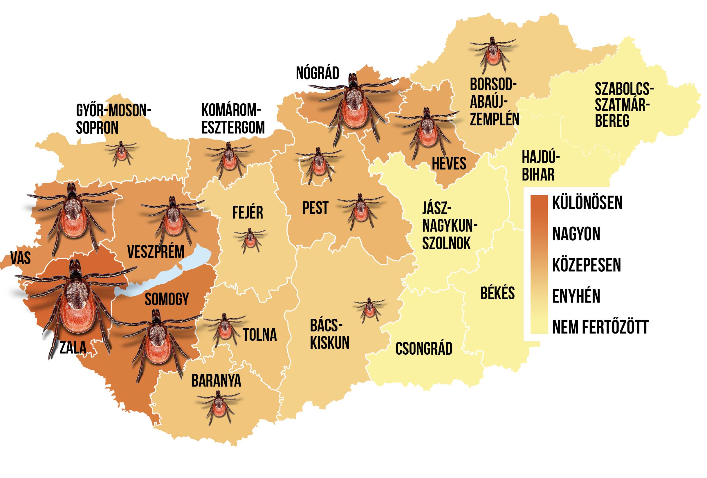 kullancs térkép magyarország 2014 Támadnak a fertőző kullancsok – Térképen mutatjuk, hol a  kullancs térkép magyarország 2014