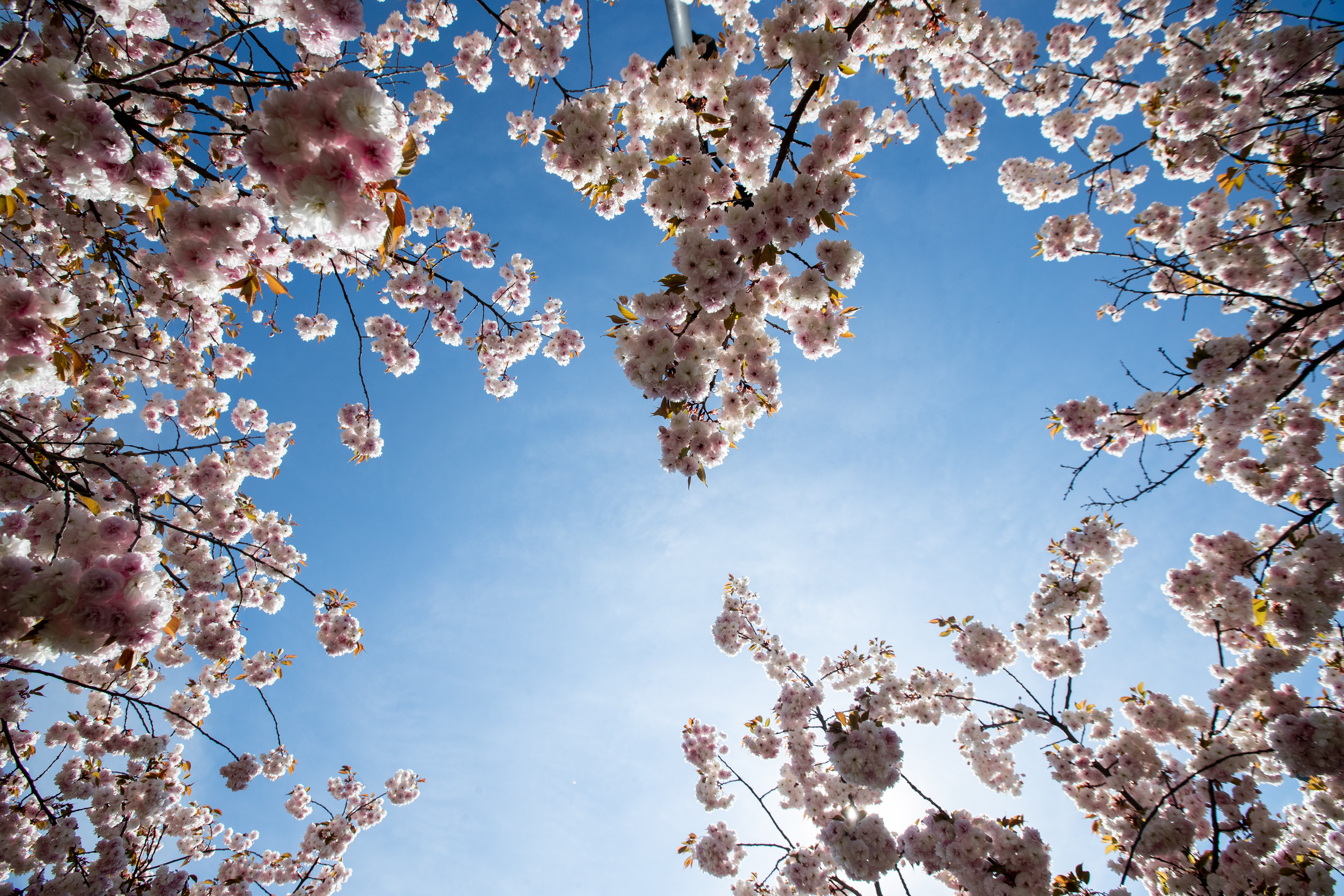 Csütörtökön is nyárias őszi időjárásra számíthatunk: részletek