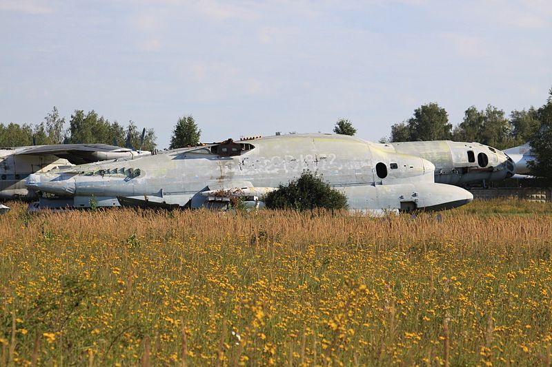 Bartini Beriev VVA-14