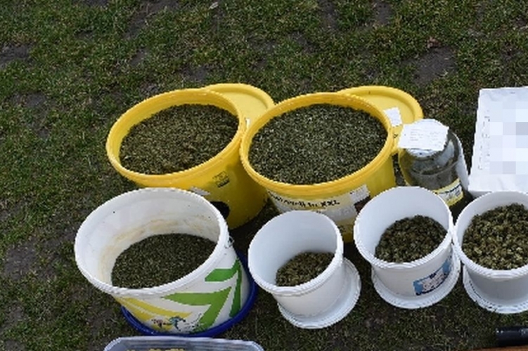 Több mint 8 kiló kábítószert találtak a rendőrök egy Győr-Moson-Sopron vármegyei férfi sufnijában - fotók