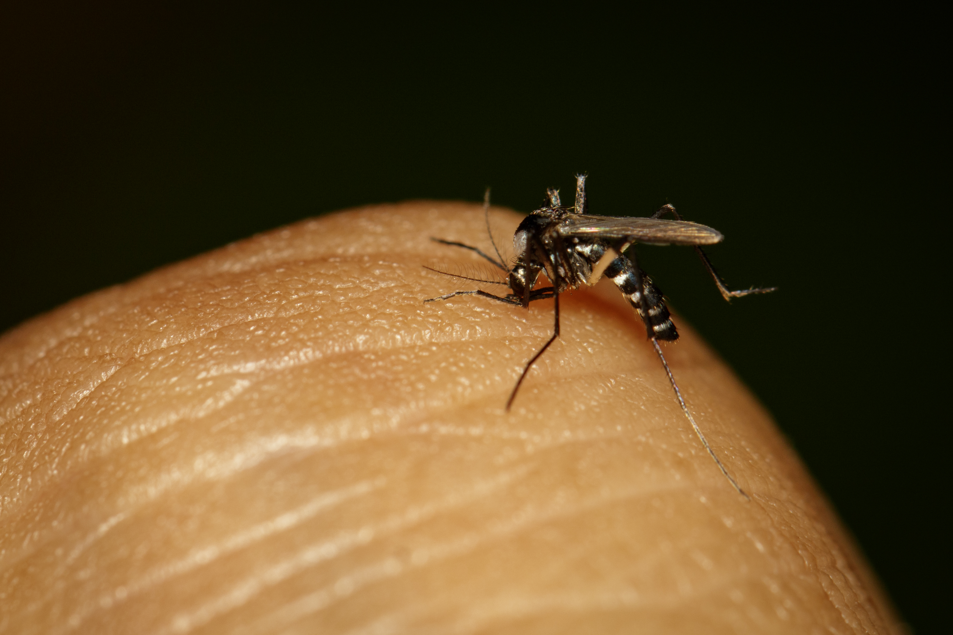 Halálos kórral fertőződött meg a népszerű magyar influenszer