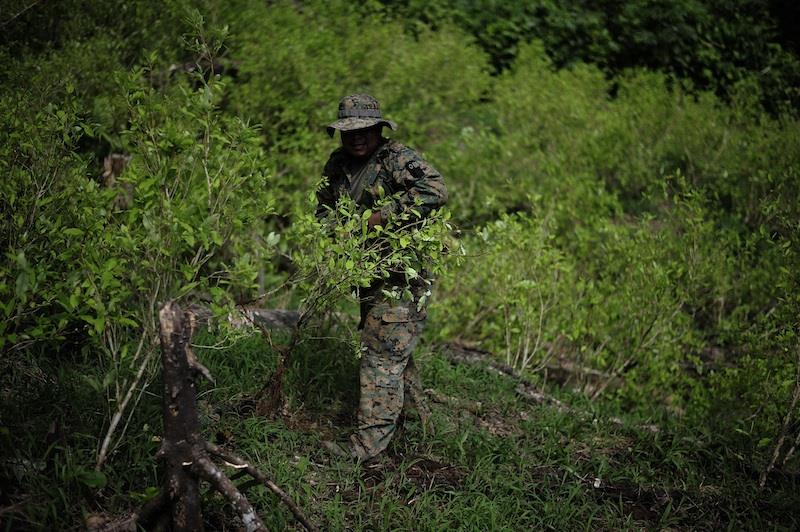 Panama żołnierze dżungla8