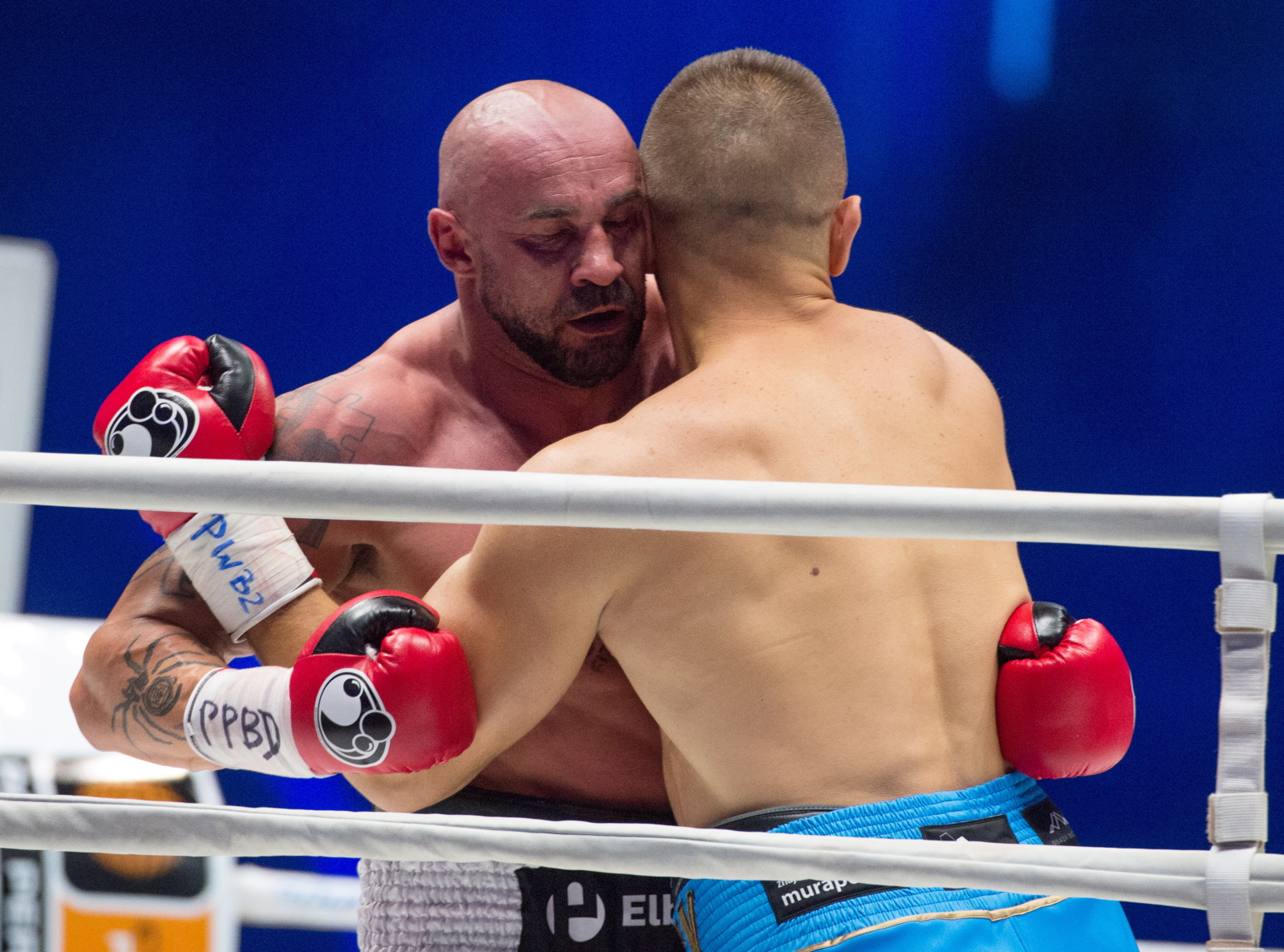Tomasz Adamek pokonał Przemysława Saletę podczas gali Polsat Boxing Night