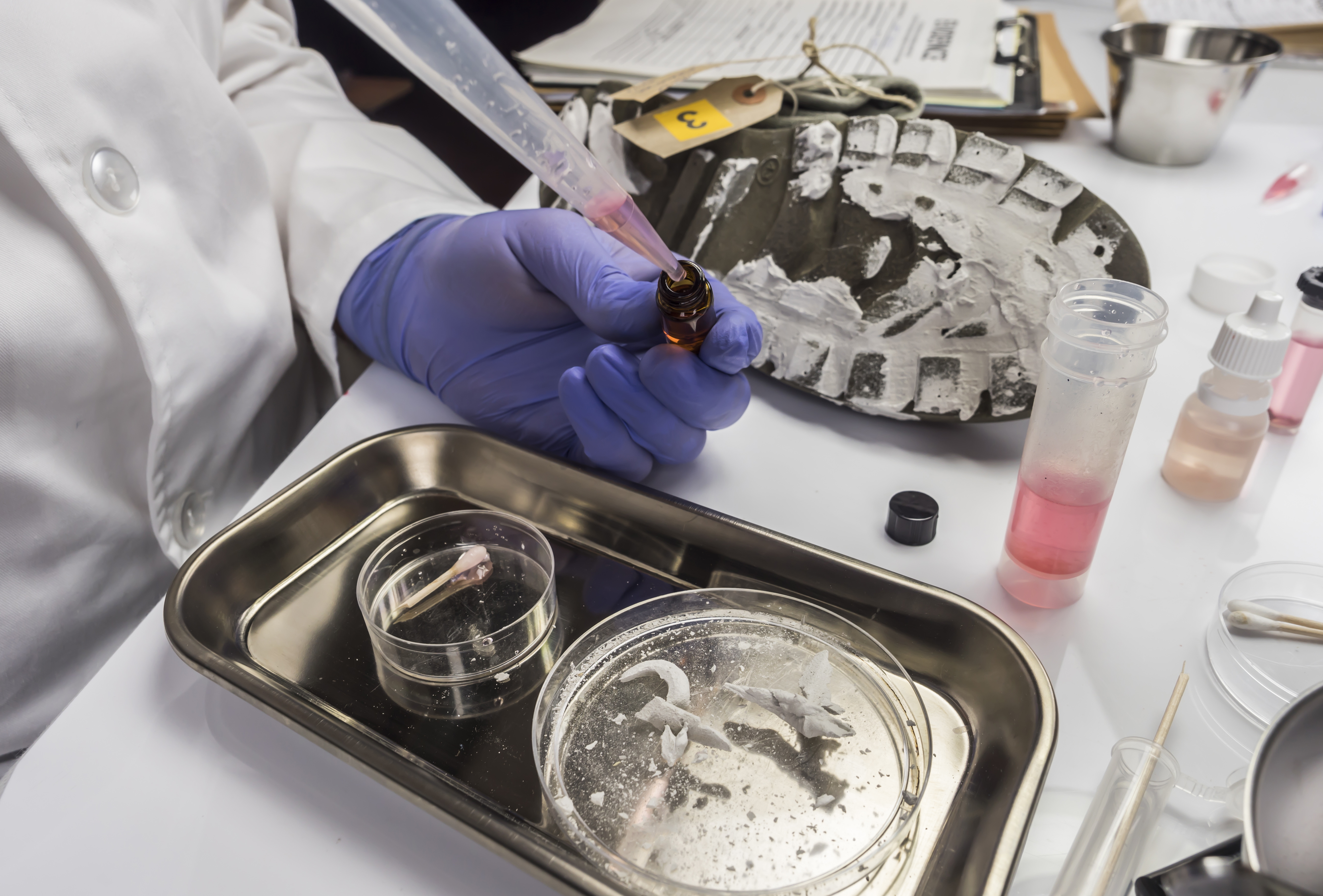 Megszólalt a BME a gólyatáborban történt ételmérgezés ügyében