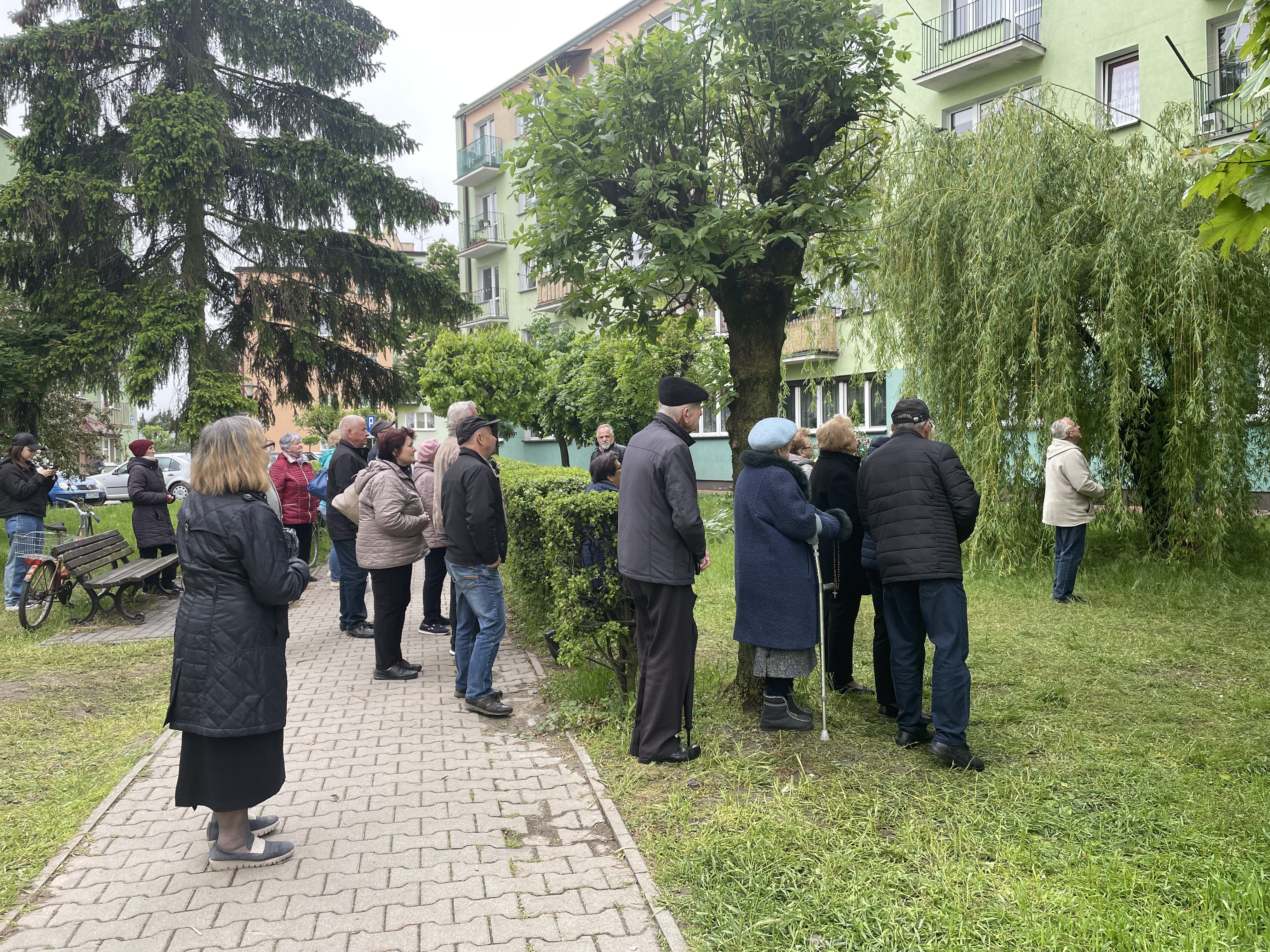 Pod drzewo w Parczewie ciągle przychodzą ludzie