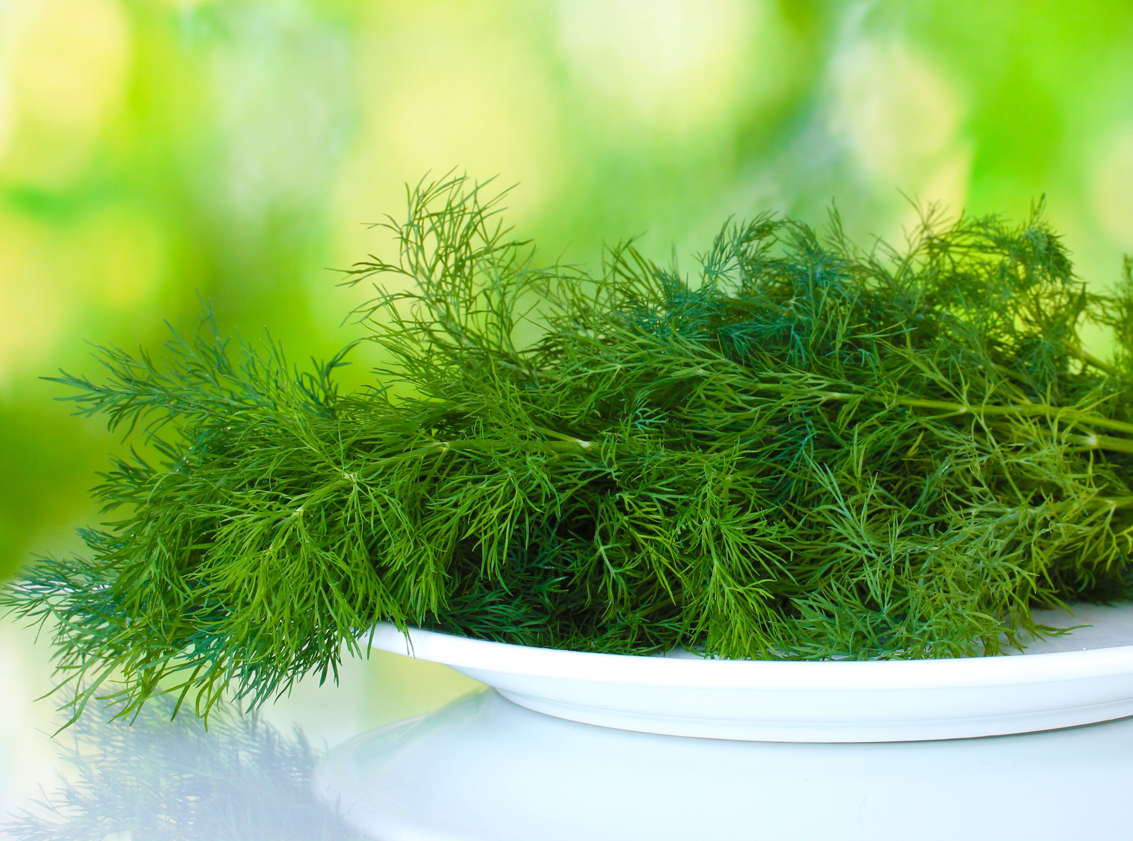 Pobudza perystaltykę jelit, usprawnia metabolizm