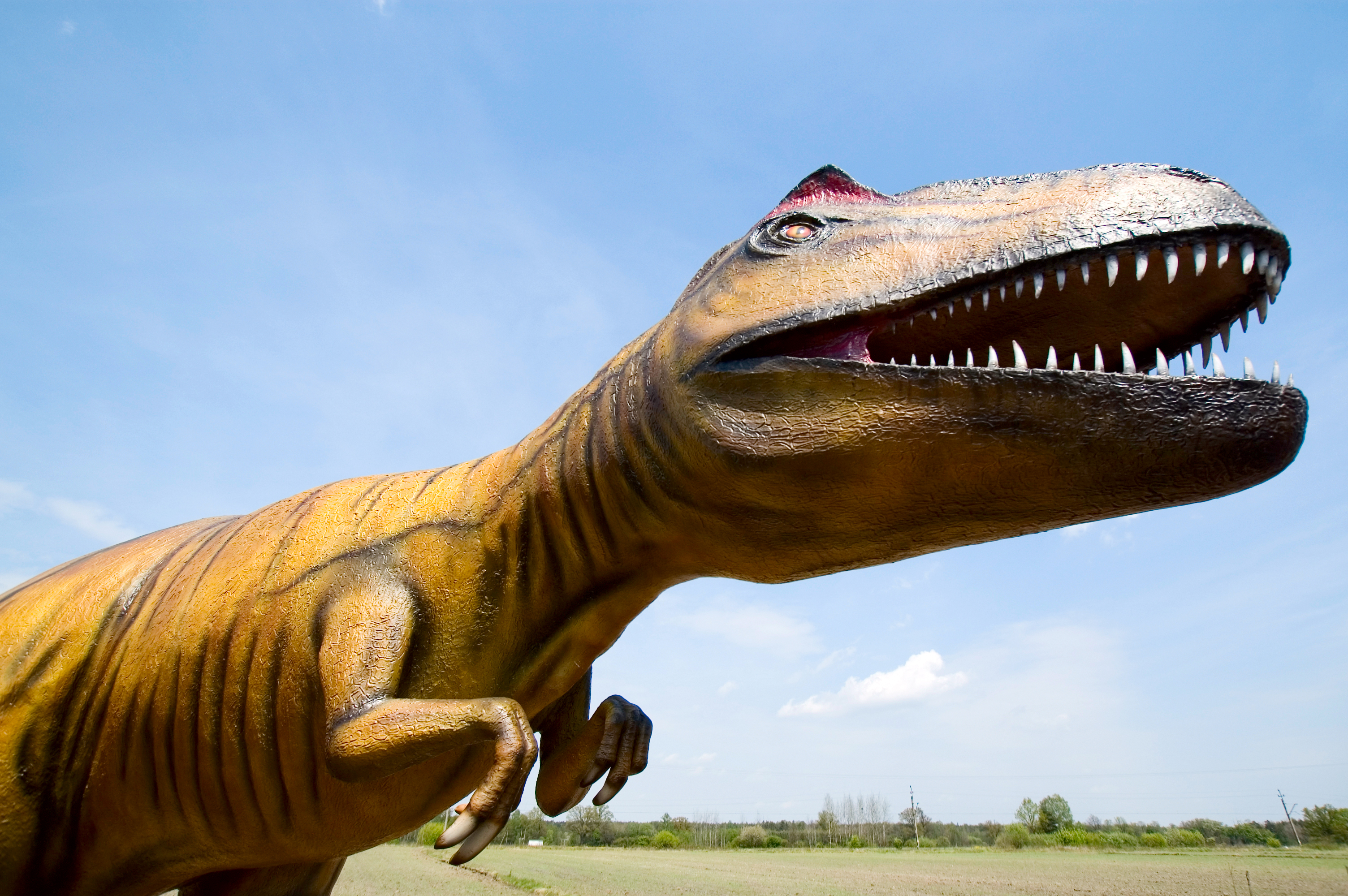 JuraPark w Krasiejowie