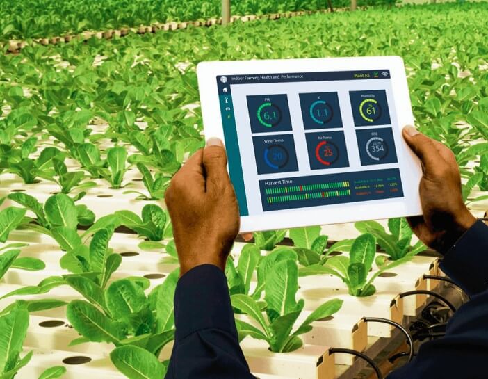 This country is the top destination for agritech investments in Africa