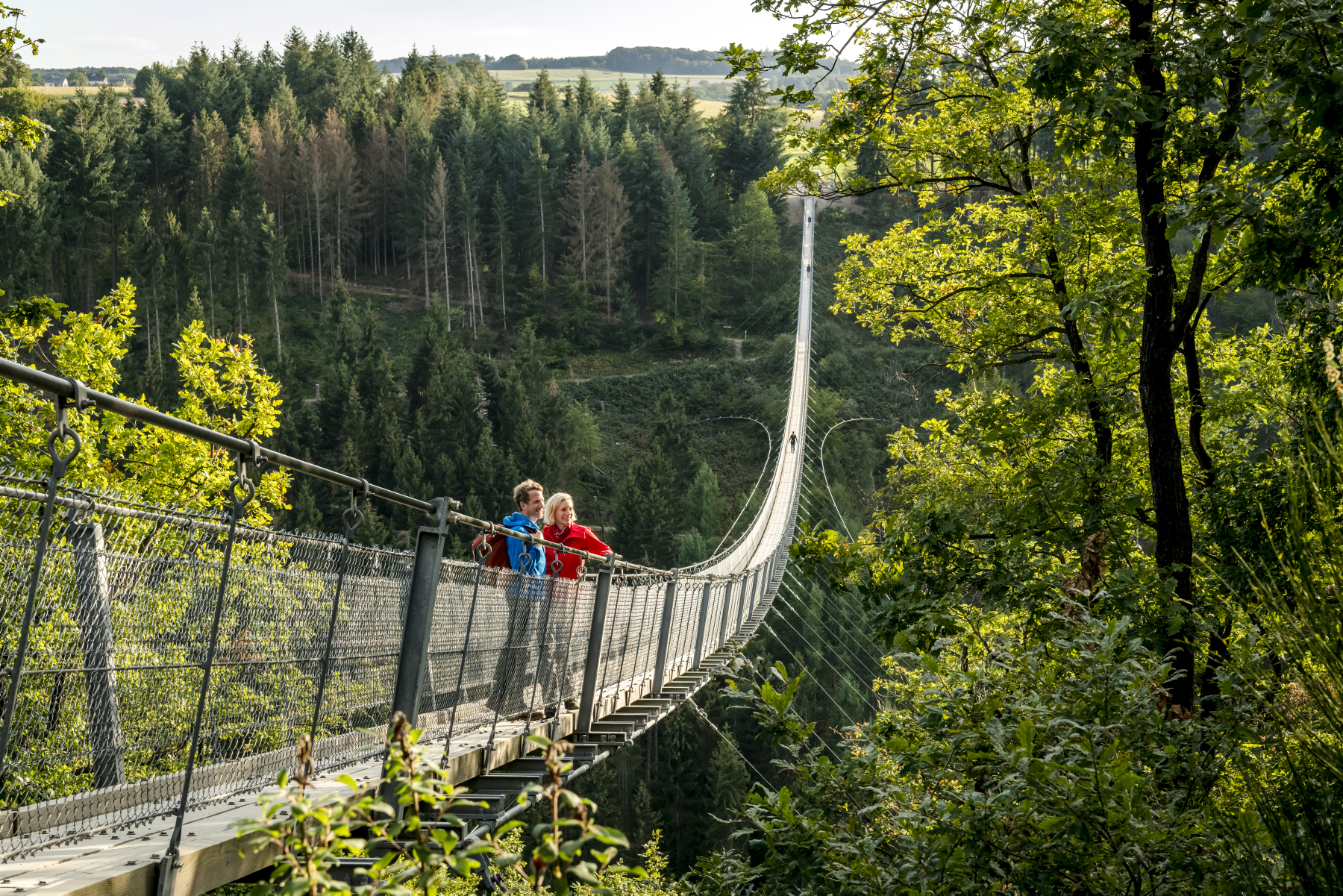 GEIERLAY – most wiszący w paśmie górskim Hunsrück