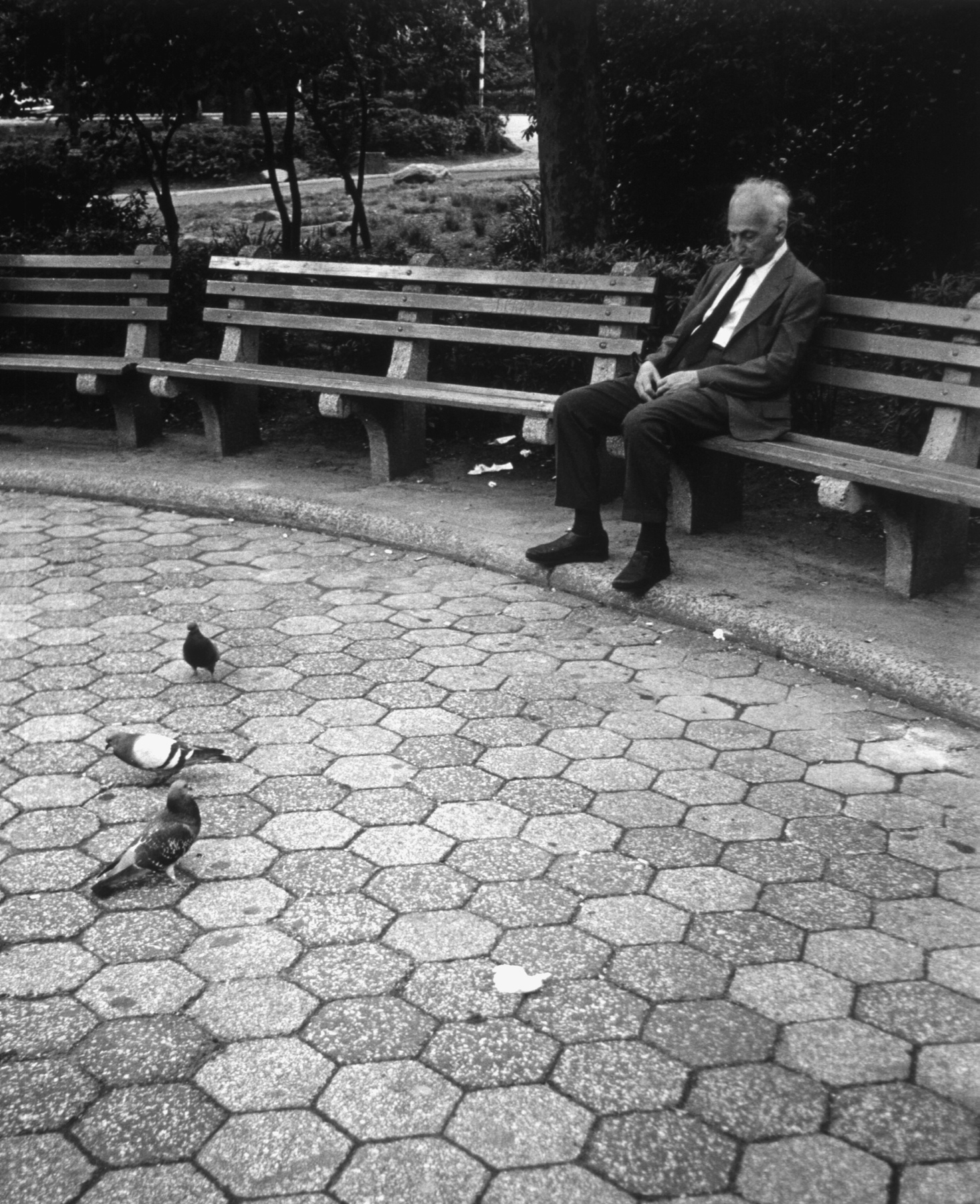 André Kertész – fotograf życia codziennego. Eksperymentował z kompozycją i nieoczywistą perspektywą. Na zdjęciu w nowojorskim parku, 1973 r.