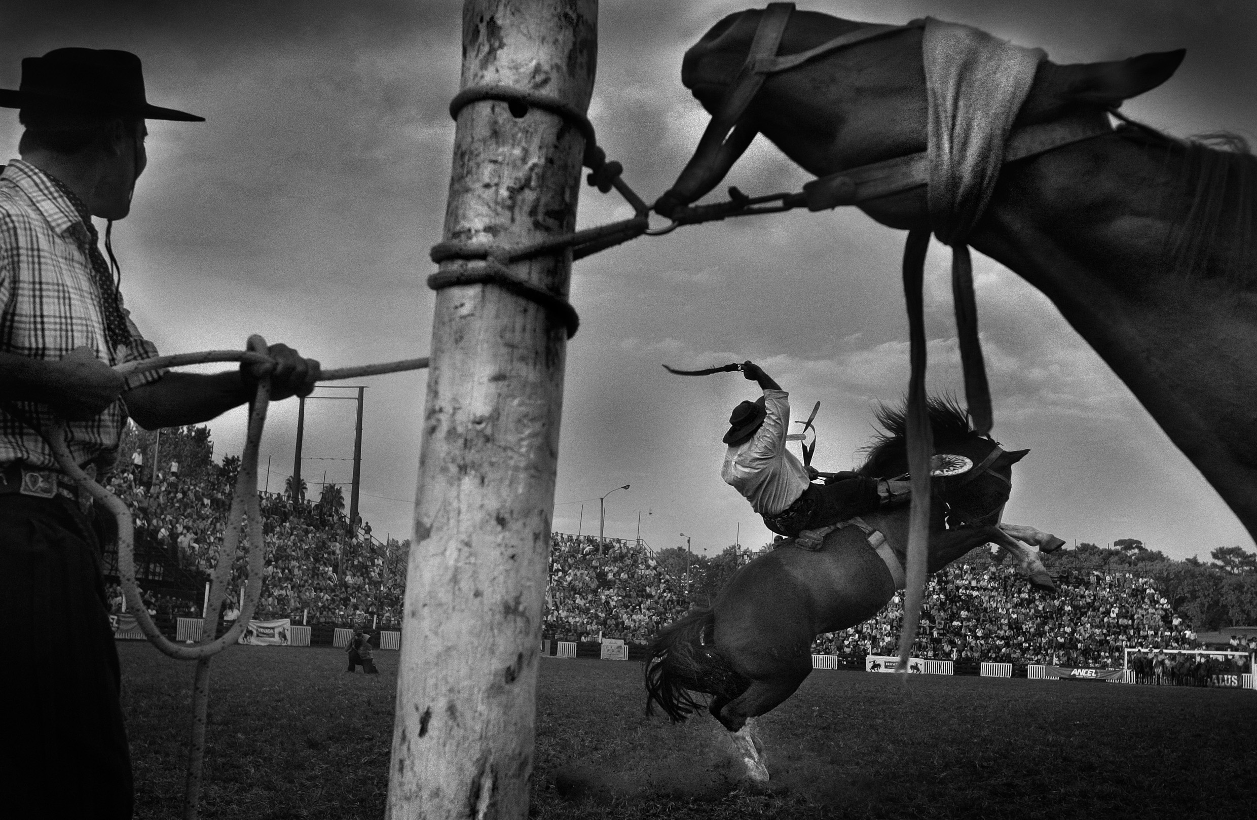 Coroczne wielkanocne rodeo dla gaucho, czyli południowoamerykańskich kowboi