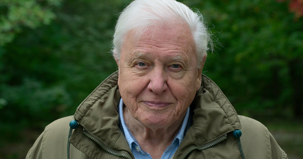 Bolygónk élő lelkiismerete: David Attenborough