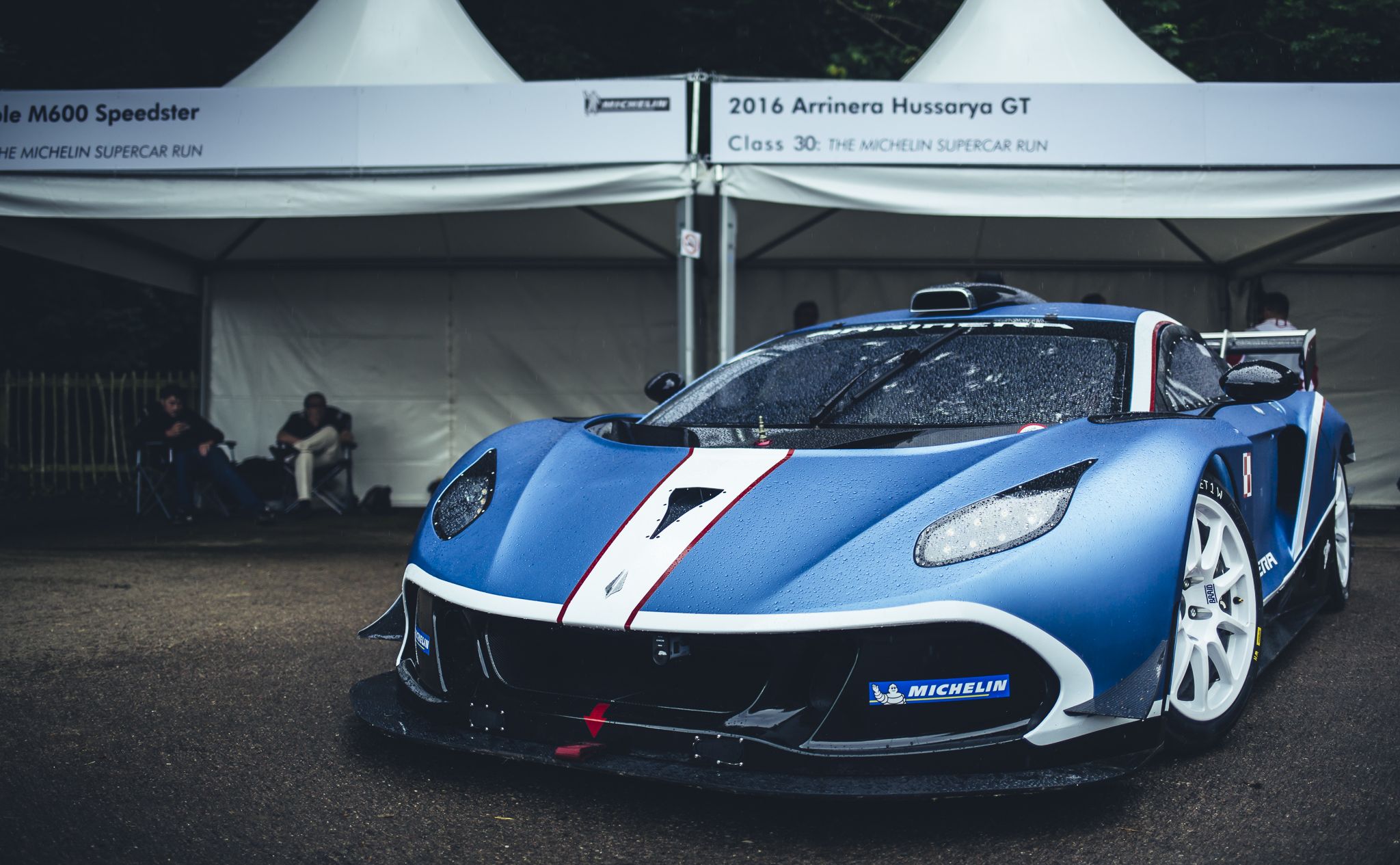 Arrinera hussarya GT
