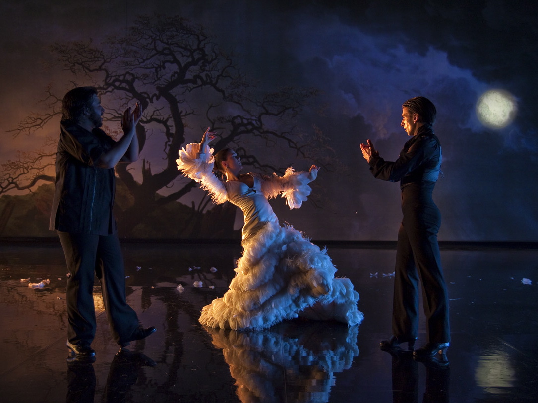 Flamenco, flamenco