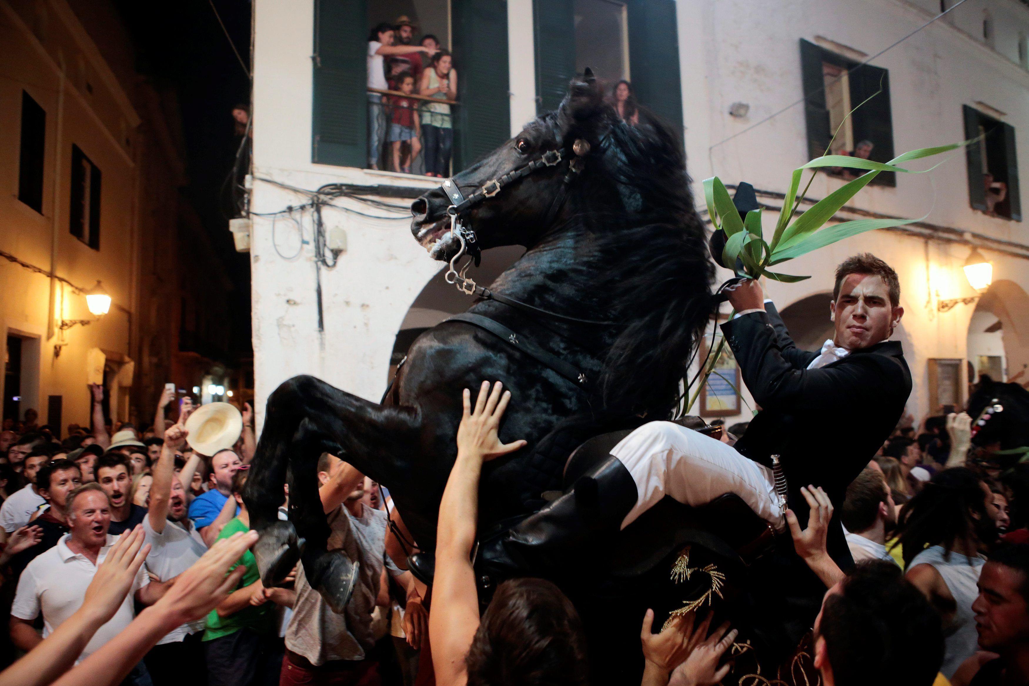 A rider rears up on his horse during the Sant Joan festivities in Ciutadella on the island of Menorc