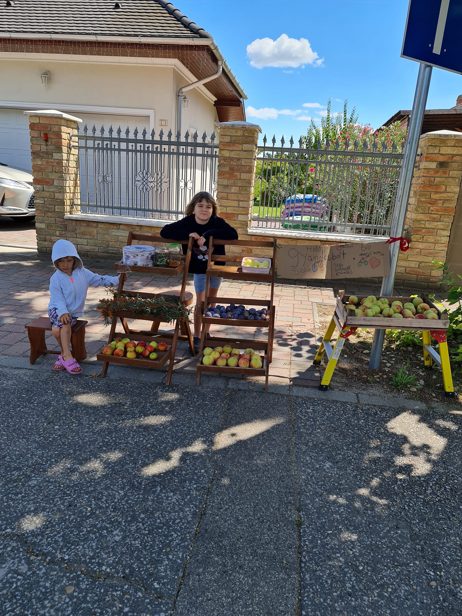 Napi cuki: imádnivaló gyümölcsboltot nyitott ez a két ausztrál kislány Szegeden