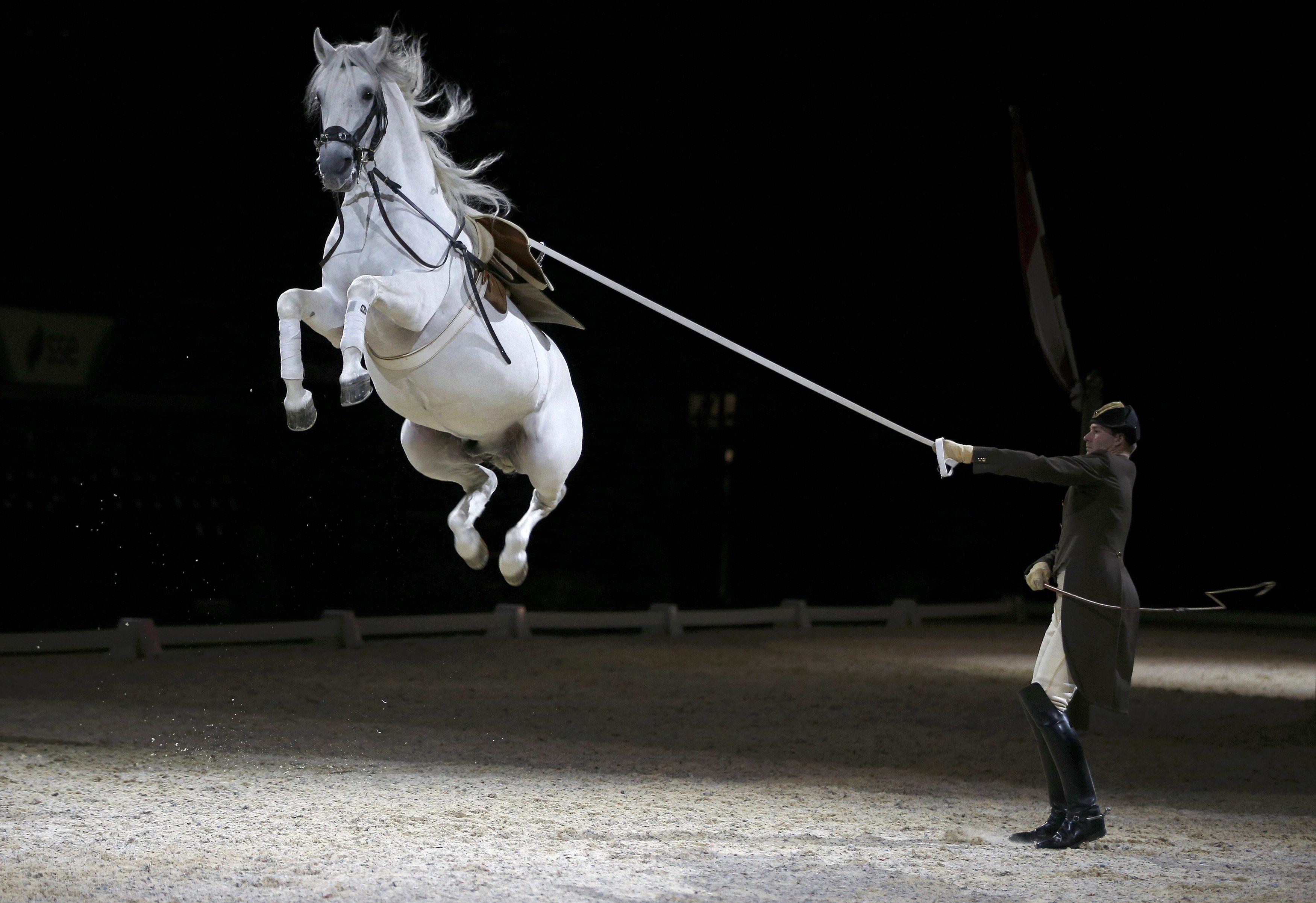 Riders and their horses of the Spanish Riding School of Vienna perform a dress rehearsal for the med