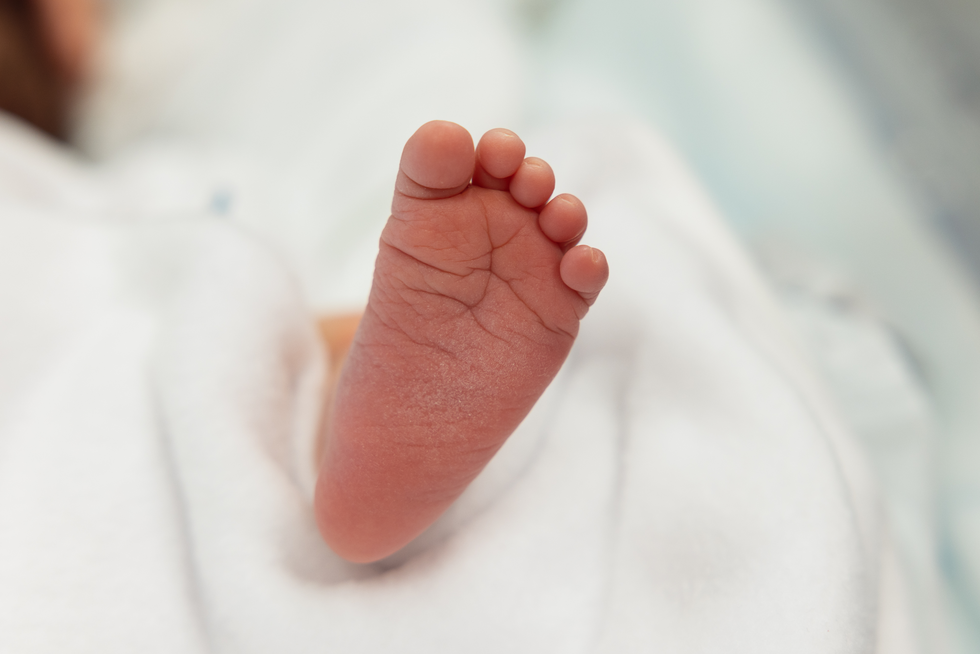 Megnyílt az első magán koraszülött-intenzívosztály Magyarországon – Évente több ezer baba jön idő előtt világra hazánkban