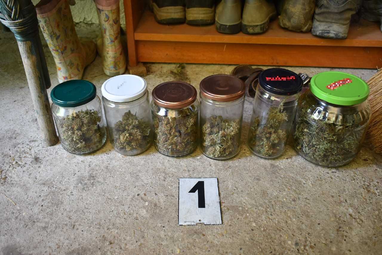 Otthonában termesztett kábítószert egy berceli férfi - A rendőrök  házkutatás után letartóztatták - Blikk