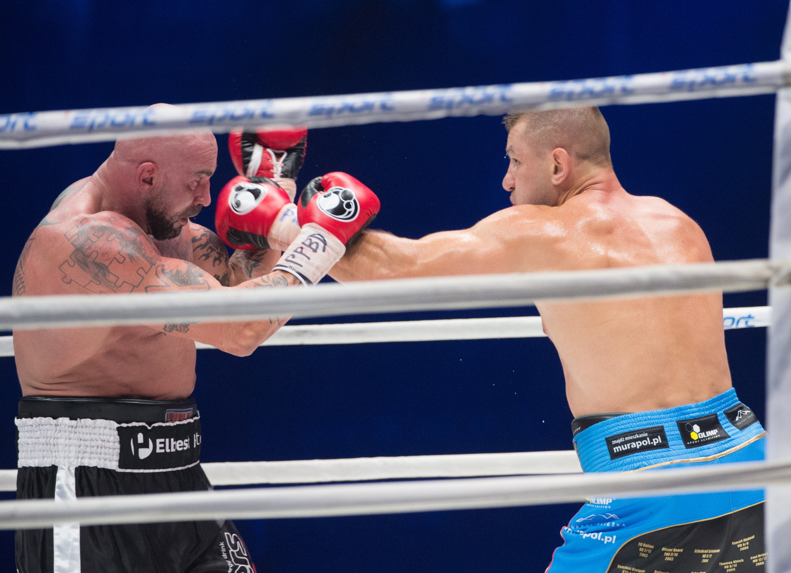 Tomasz Adamek pokonał Przemysława Saletę podczas gali Polsat Boxing Night