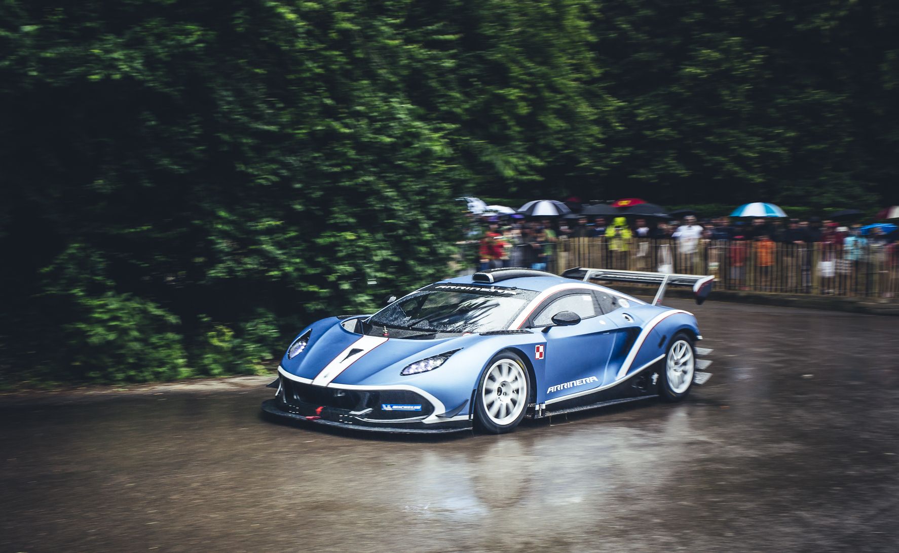 Arrinera hussarya GT