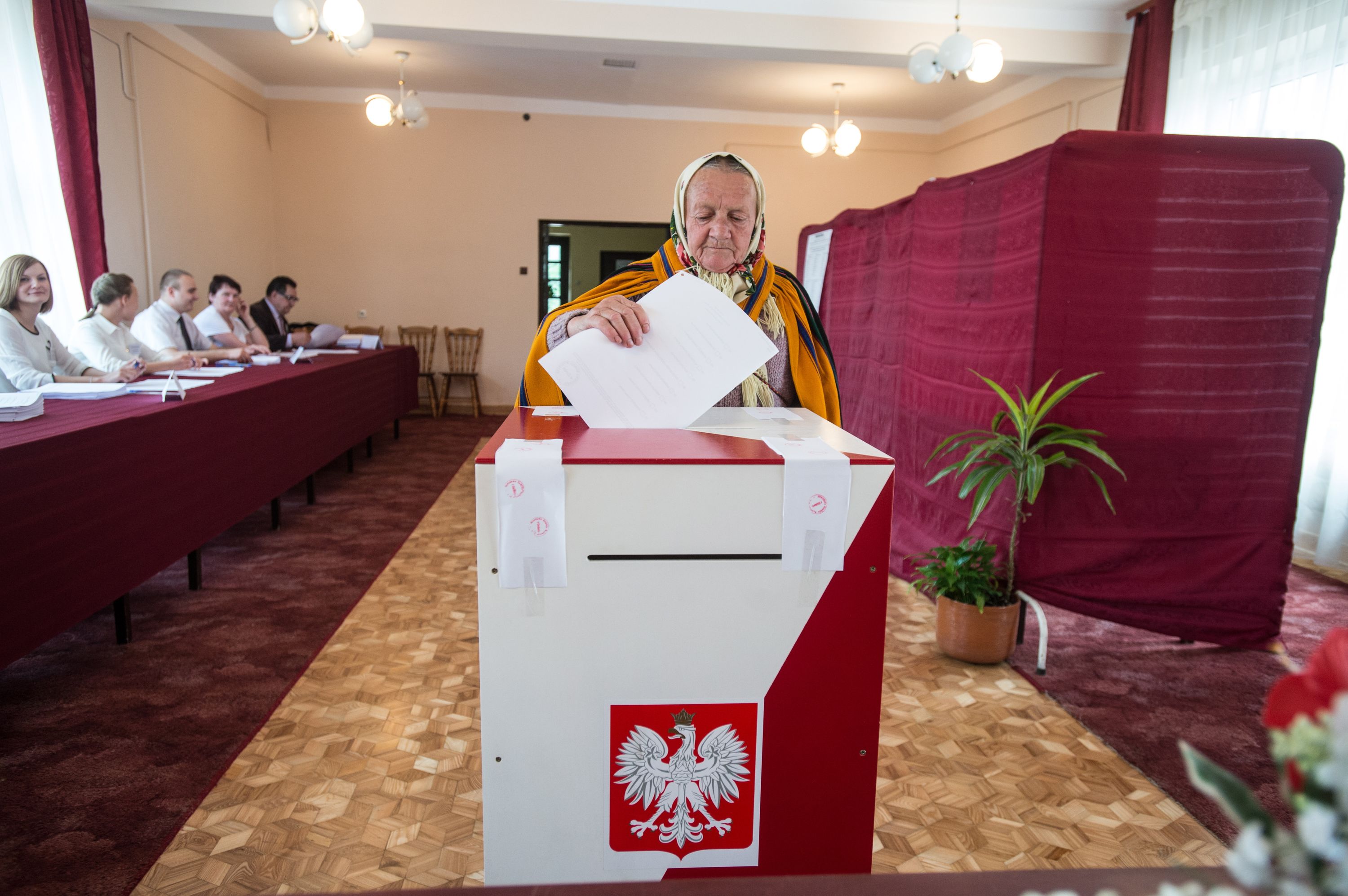 Wybory do europarlamentu