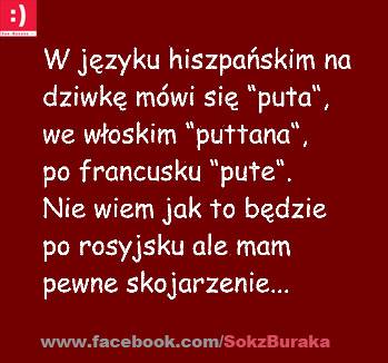mem / Sokzburaka