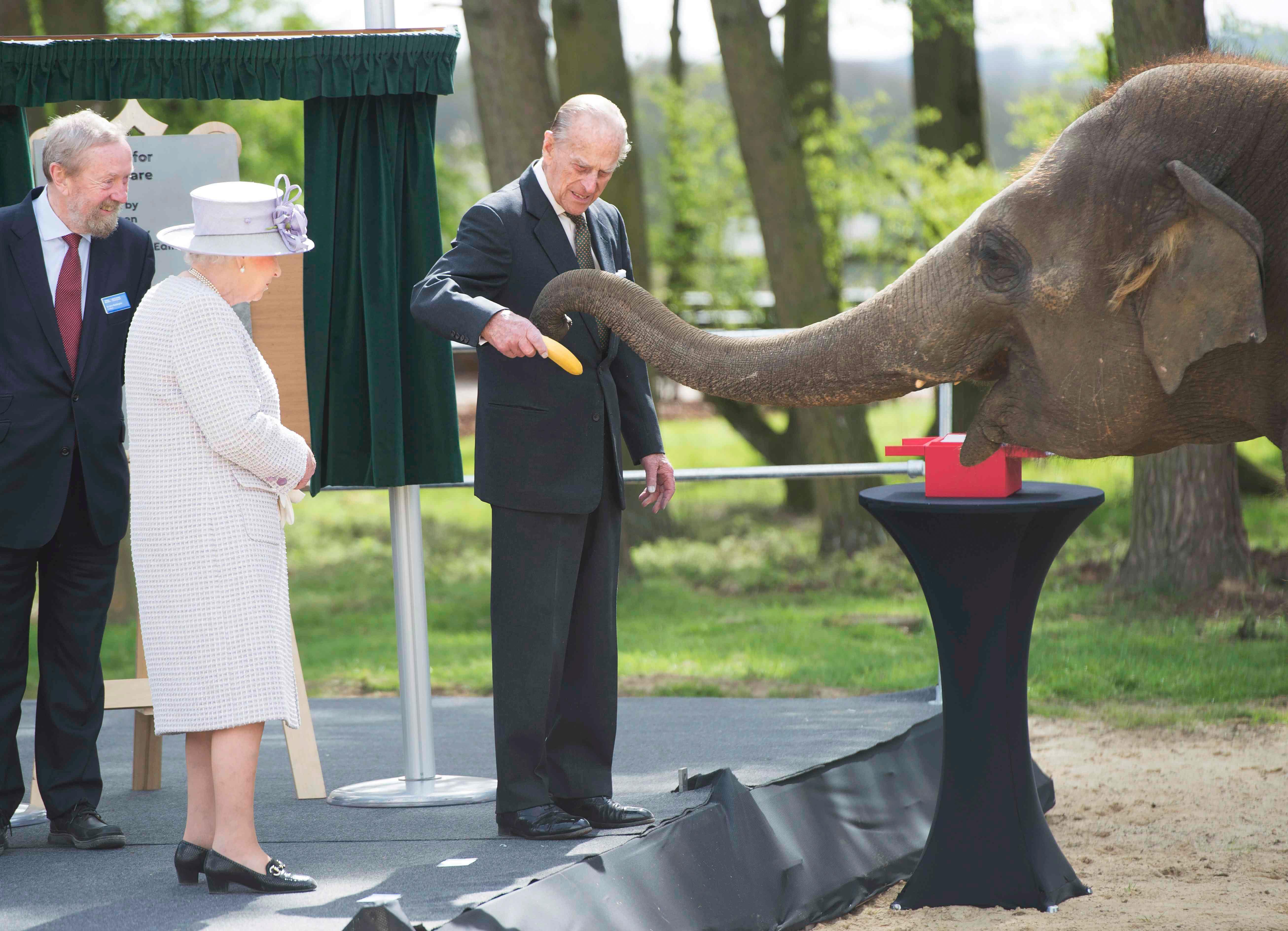 Britain's Queen Elizabeth watches Prince Philip feed an elephant during a visit to Whipsnade Zoo whe