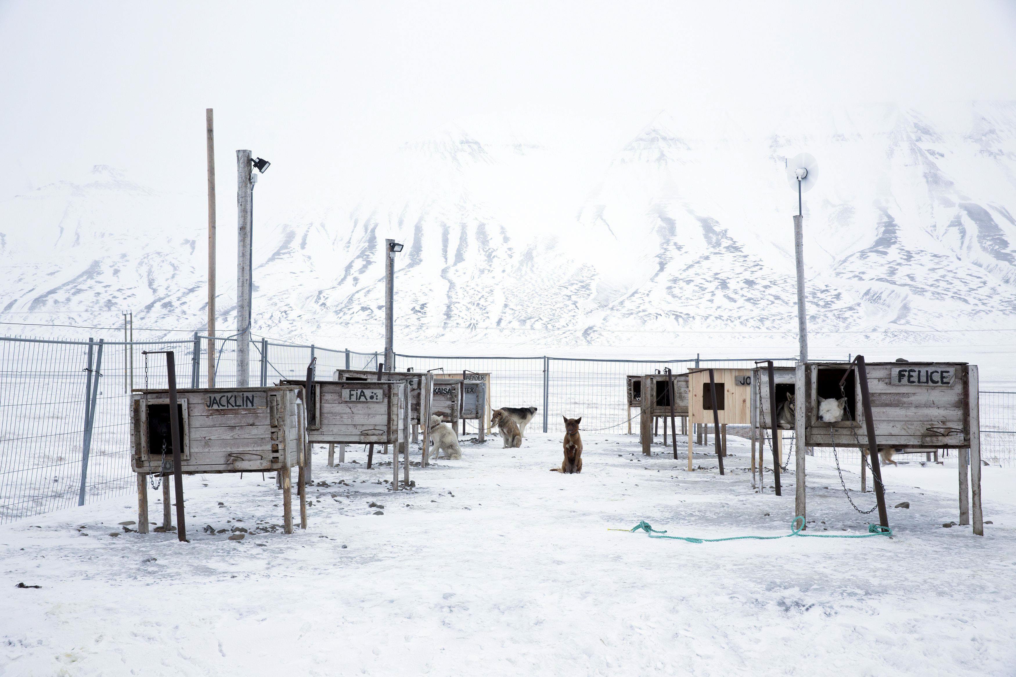 The Wider Image: Research in the Arctic