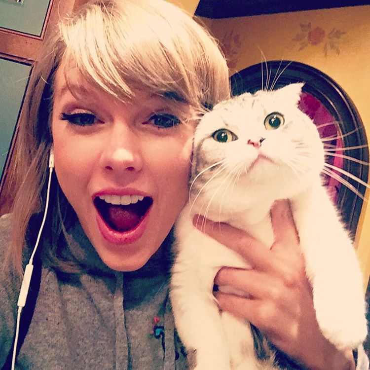 6. Taylor Swift – 2,3 miliona polubień