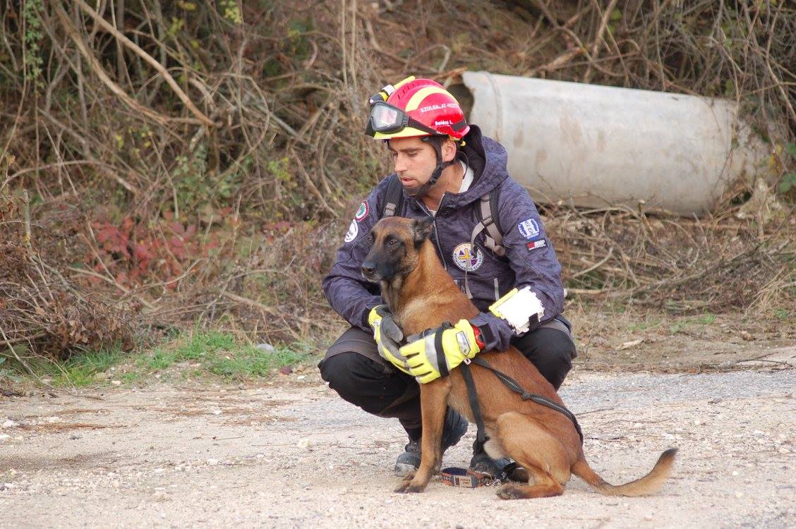 Ciszta okozhatta Symba, a keresőkutya rosszullétét