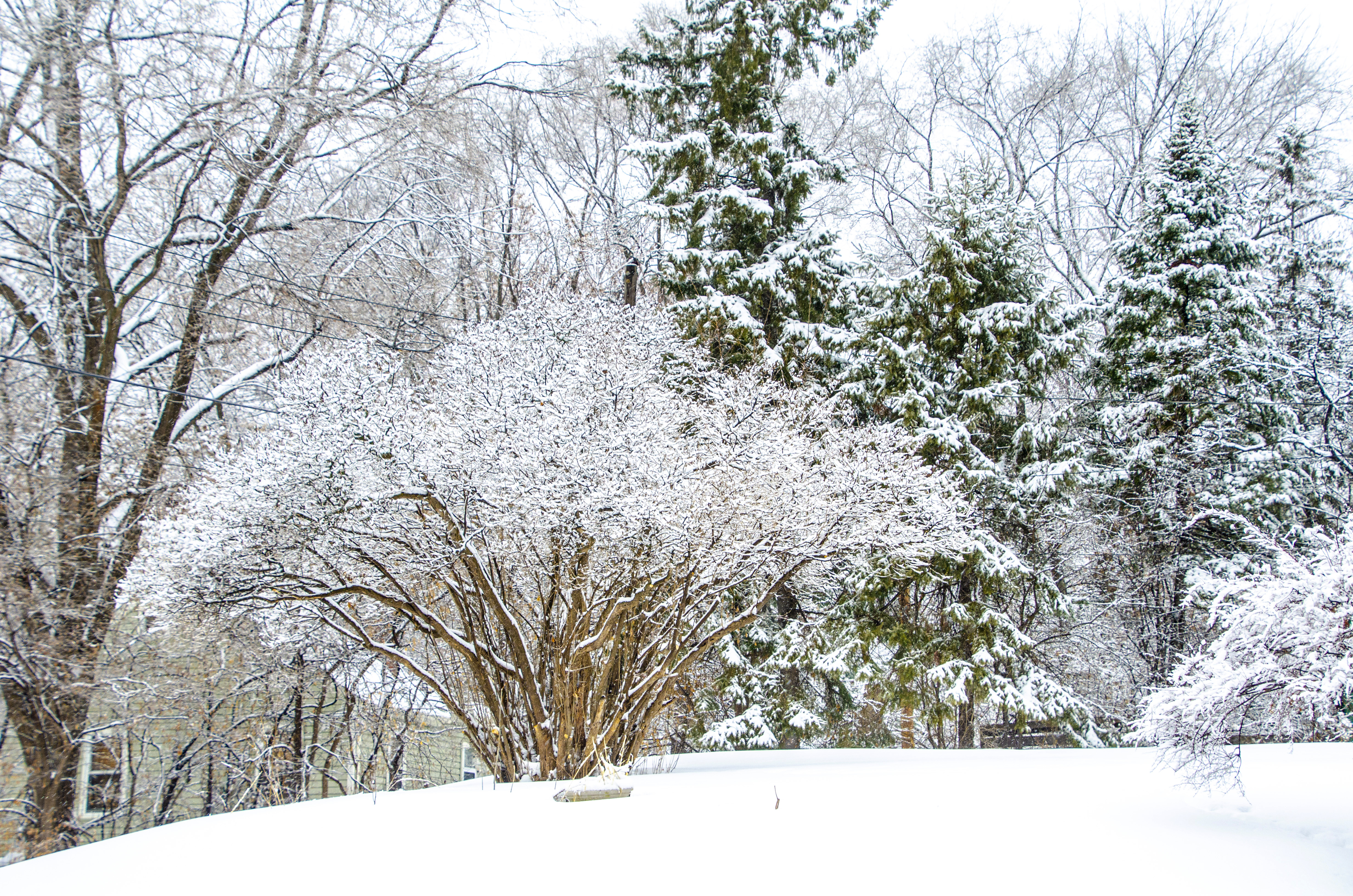 Megjött a tél: nagy pelyhekben szakad a hó a Kékestetőn – fotók