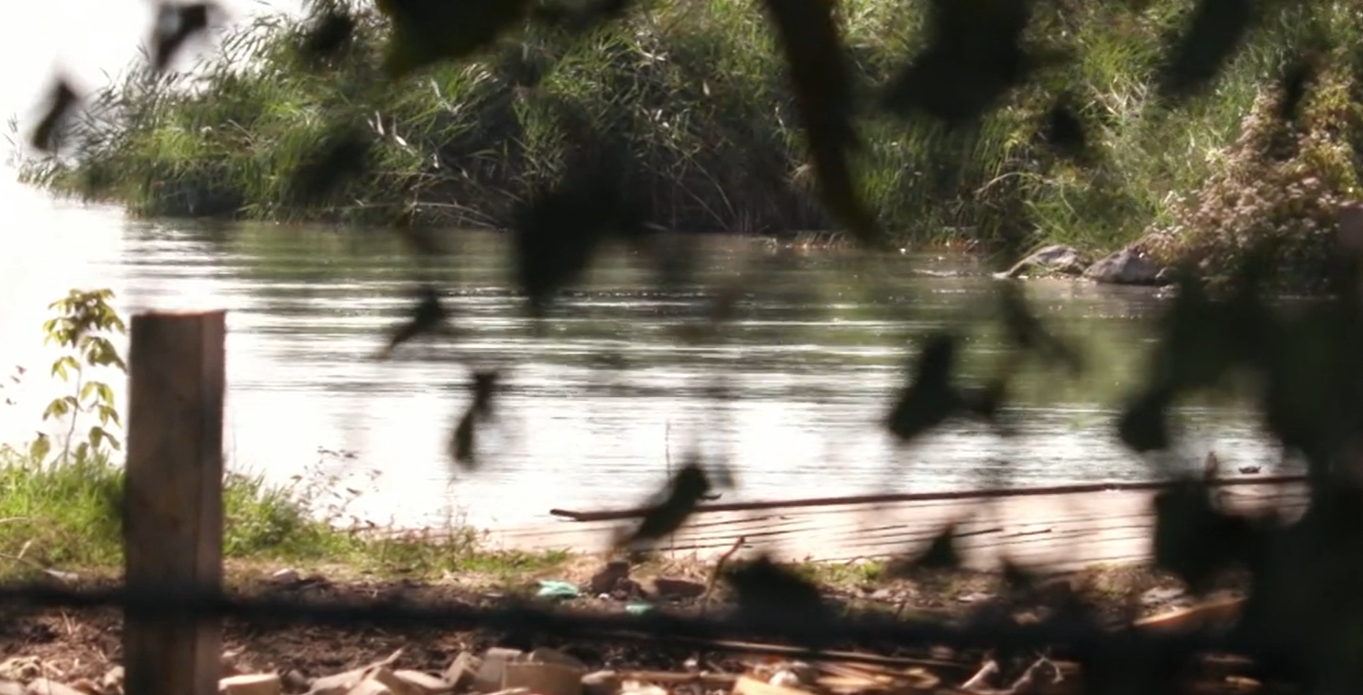 A Balatonba fulladt egy nő Balatonkenesén: férje talált rá a vízben