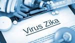Stručnjaci: Nema razloga za paniku od virusa zika u Evropi i SAD