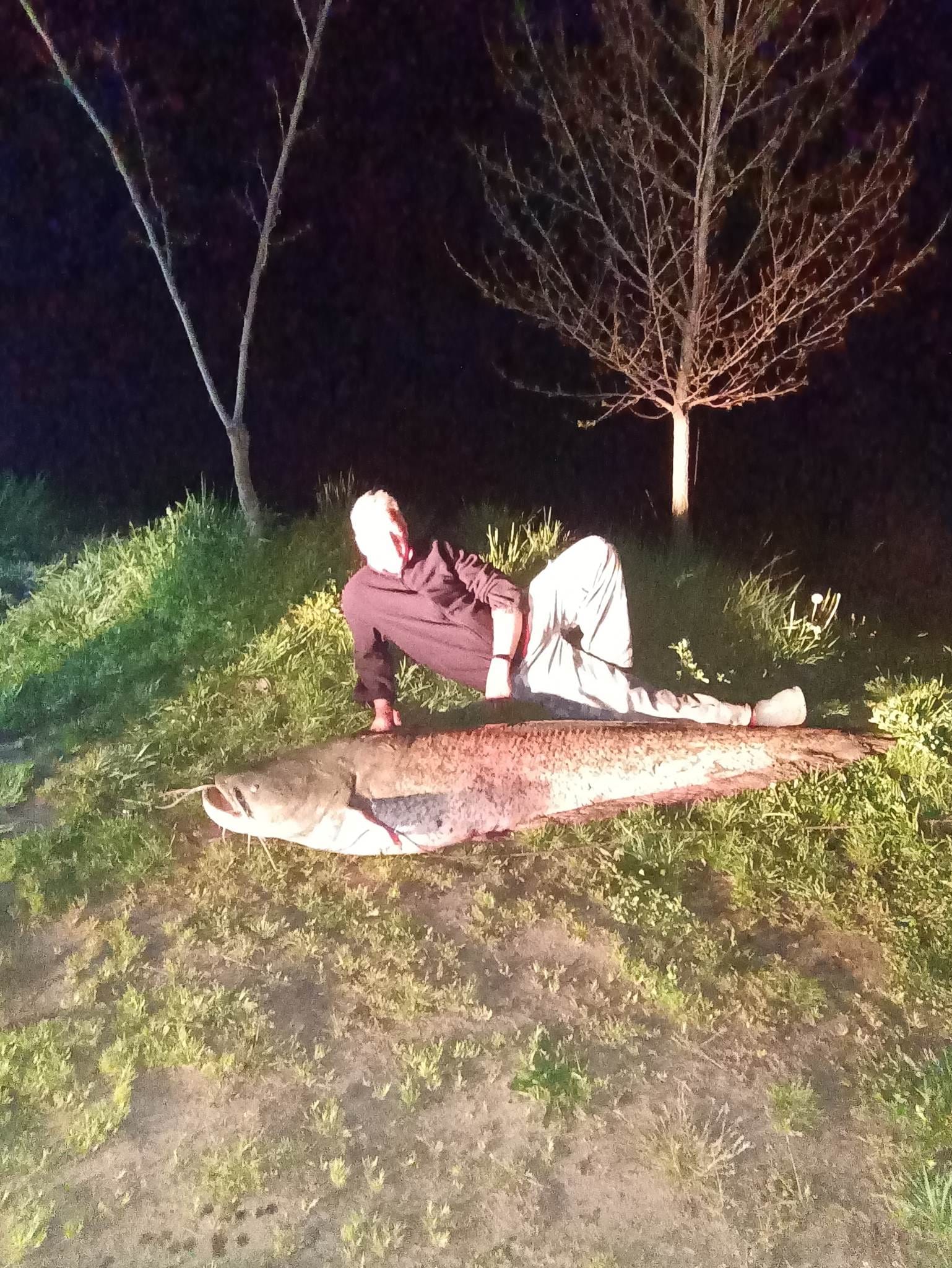 Ilyet sem látni minden nap: embernagyságú halszörnyet fogott egy horgász Gyulán – fotók, videó