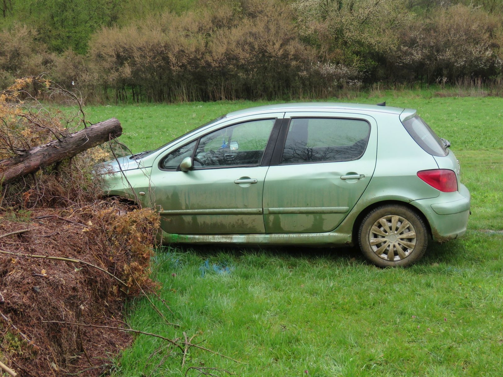 Nem hétköznapi autós üldözés Teskánd közelében: a vétkes férfi végül az akácosban állt meg – fotók