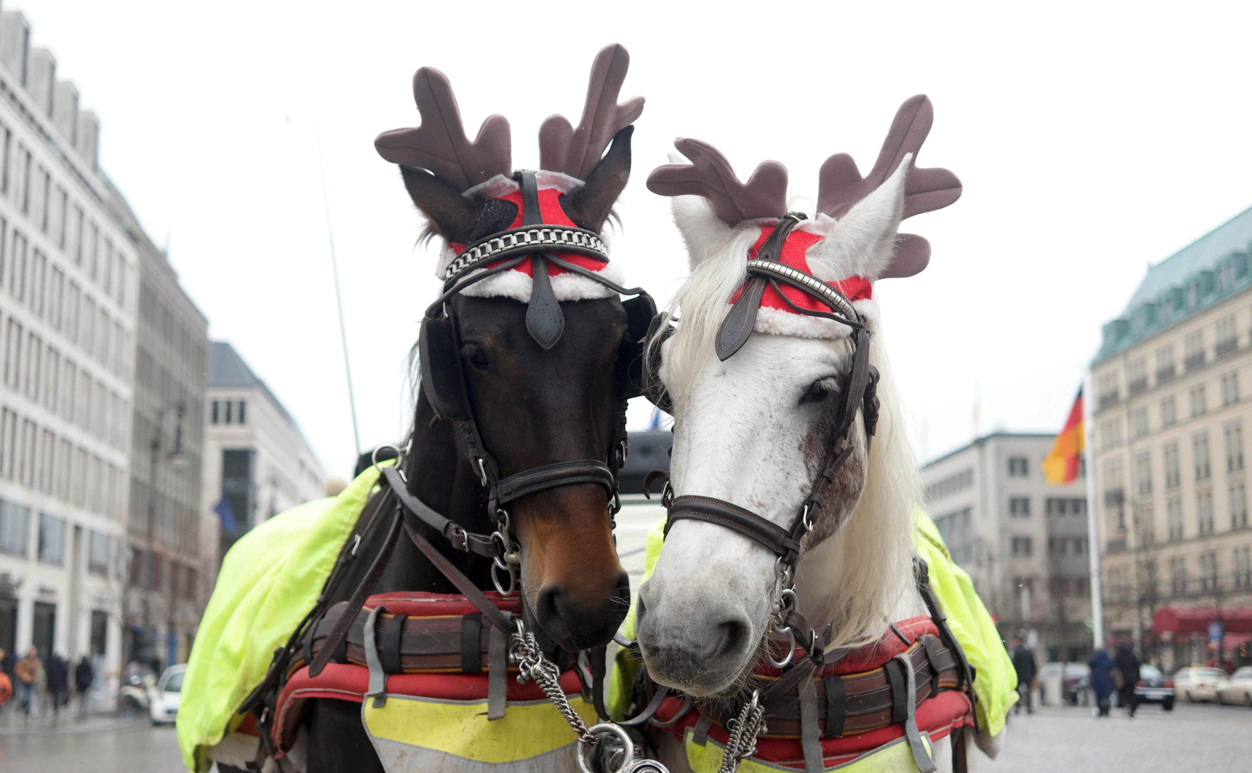 Christmas markets open in Berlin