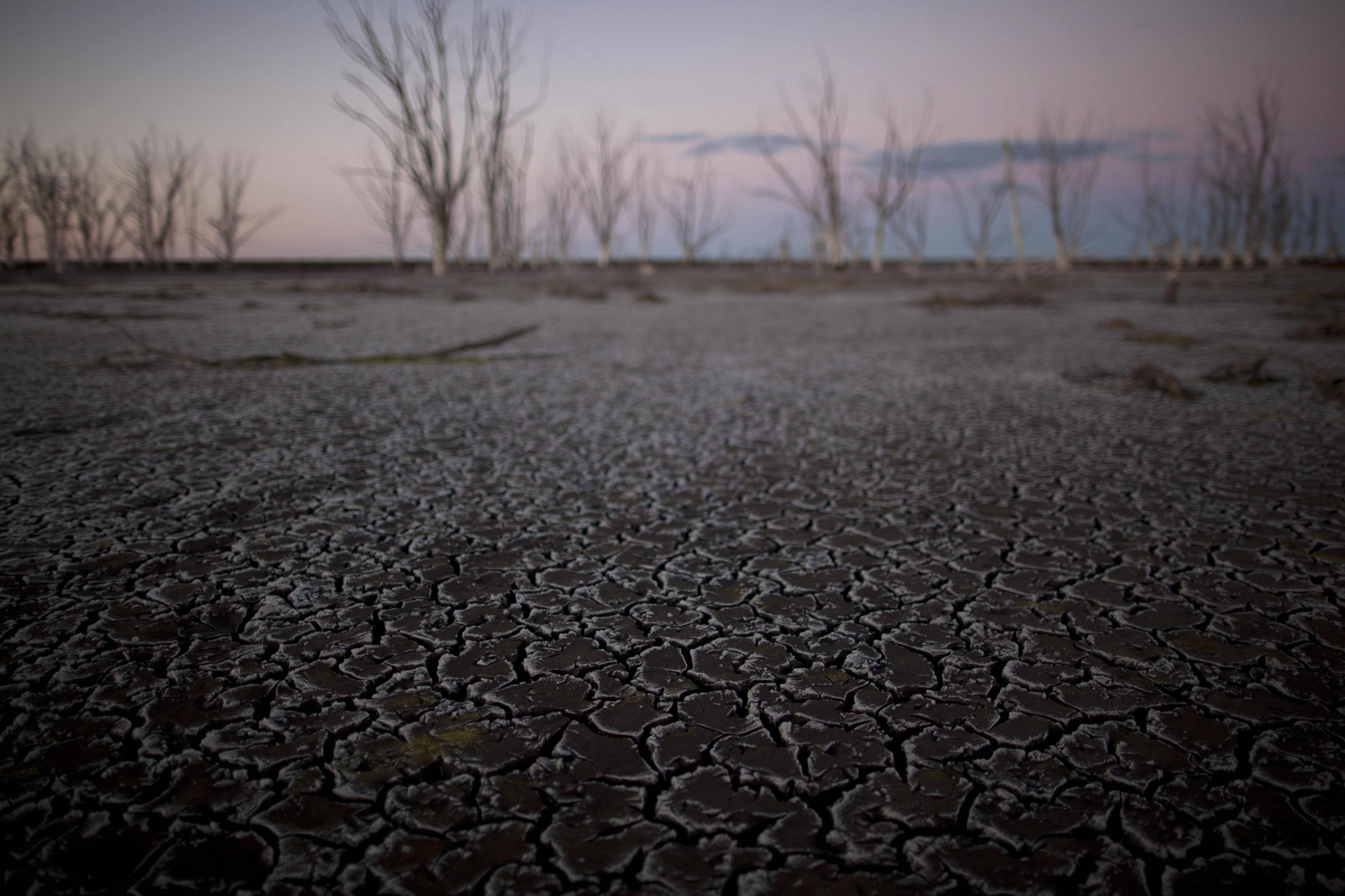 Woda się cofa, odsłaniając zniszczenia dokonane przez sól. Epecuen nie nadaje się już do zamieszkania
