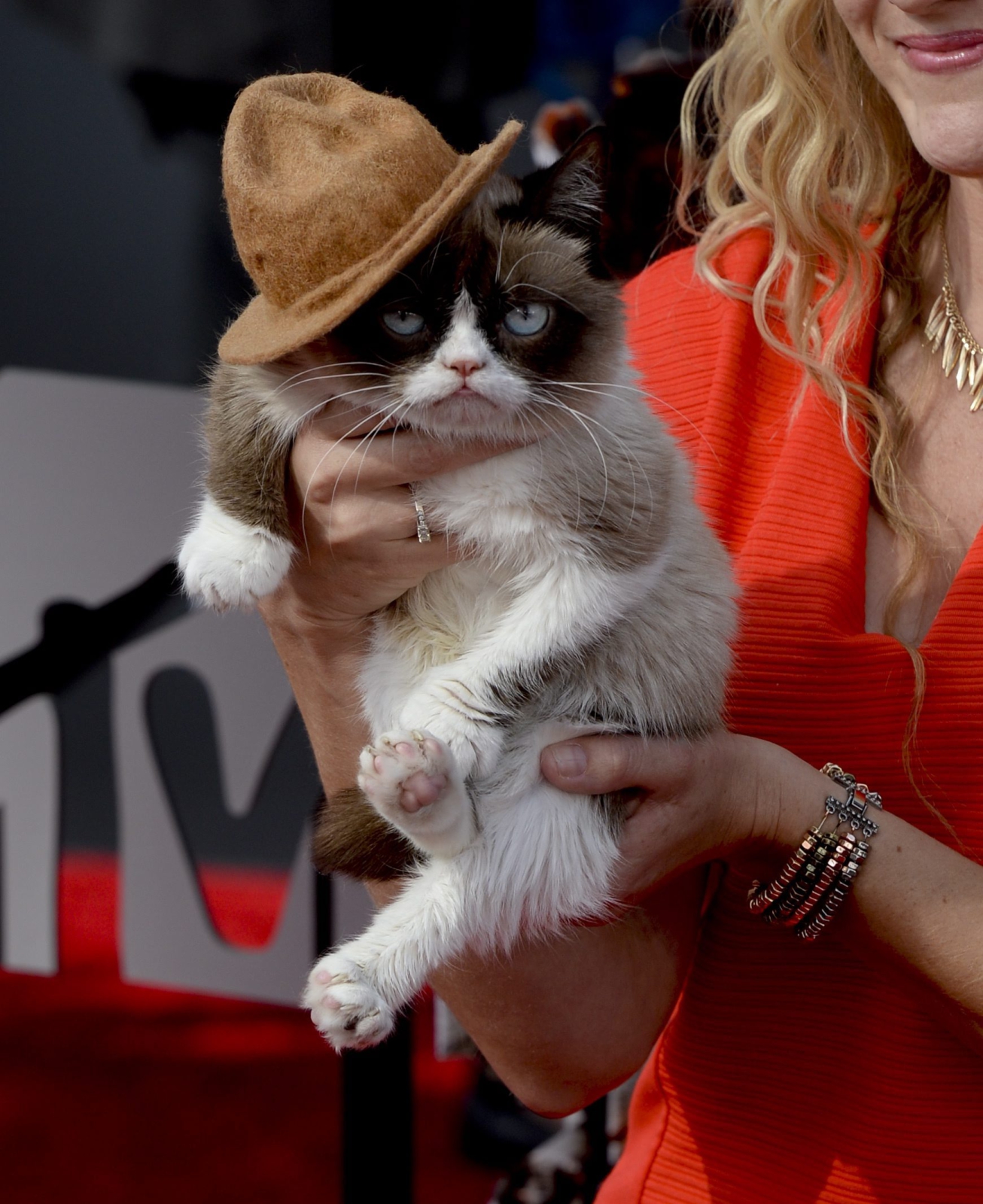 Oto pełna lista nagród MTV Movie Awards 2014: Najlepszy film roku: