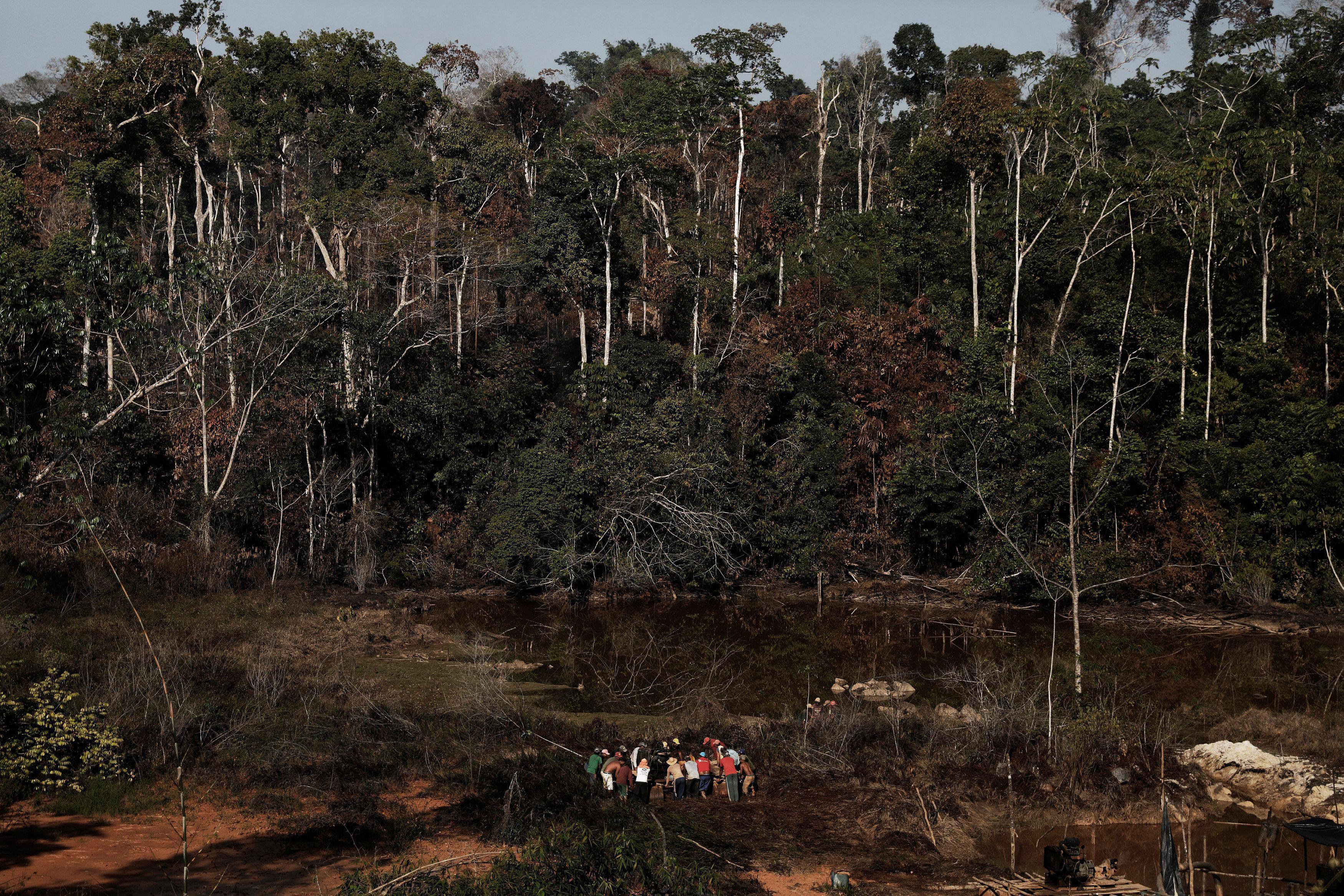 The Wider Image: Brazilians toil for gold in illegal Amazon mines
