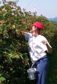 Sezonski poslovi u inostranstvu sezonski poslovi u inostranstvu