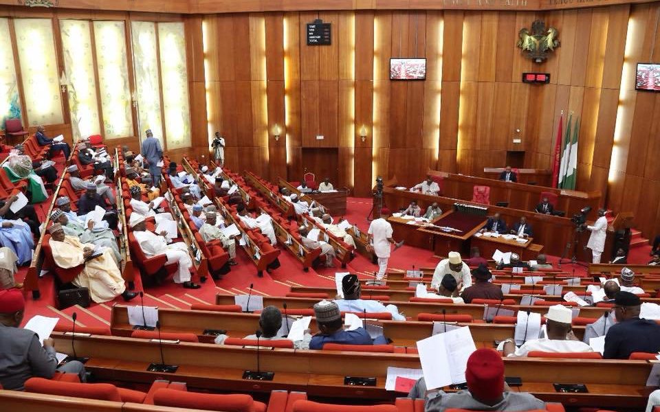 Nigerian senators during plenary (Punch)
